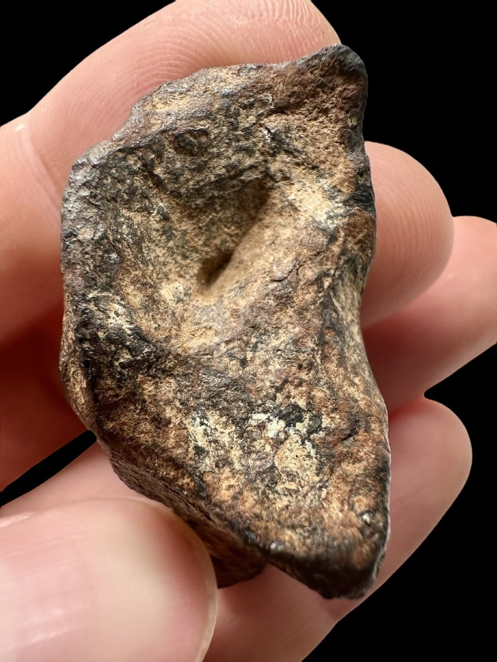 Meteorite Mundrabilla 52,1g – Nullarbor plain, Australia - MEMU01