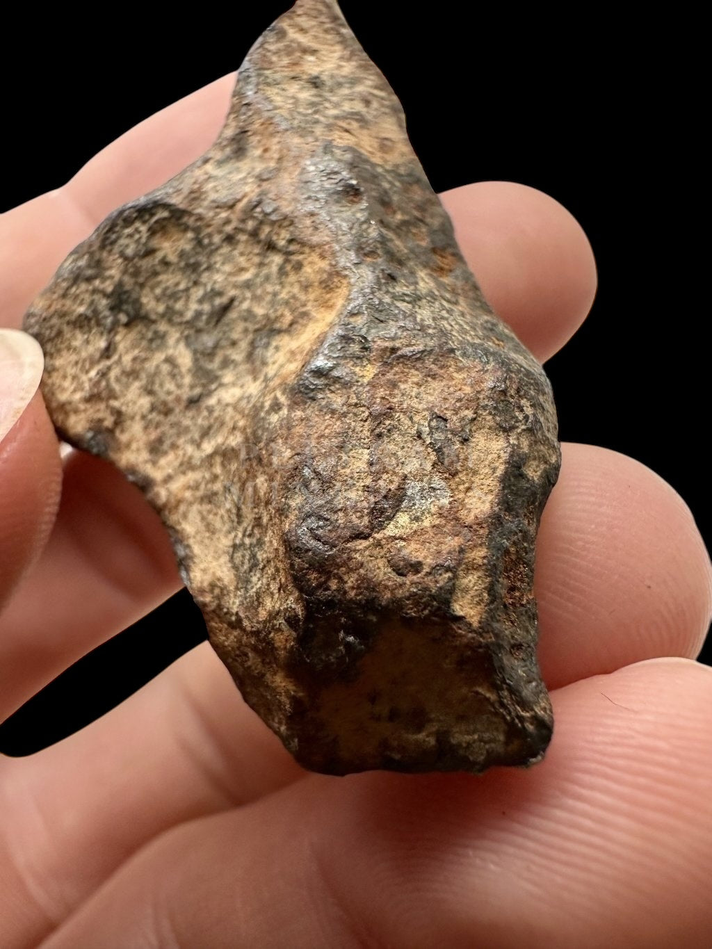 Meteorite Mundrabilla 52,1g – Nullarbor plain, Australia - MEMU01
