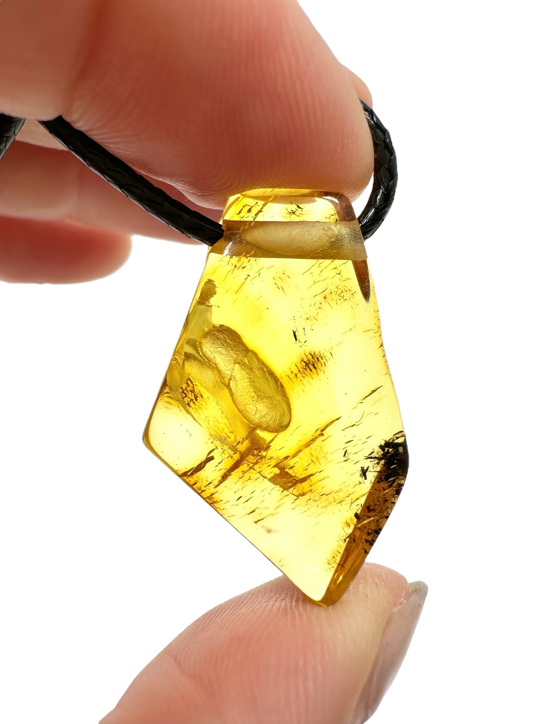 Amber pendant with leather cord - P/JN036