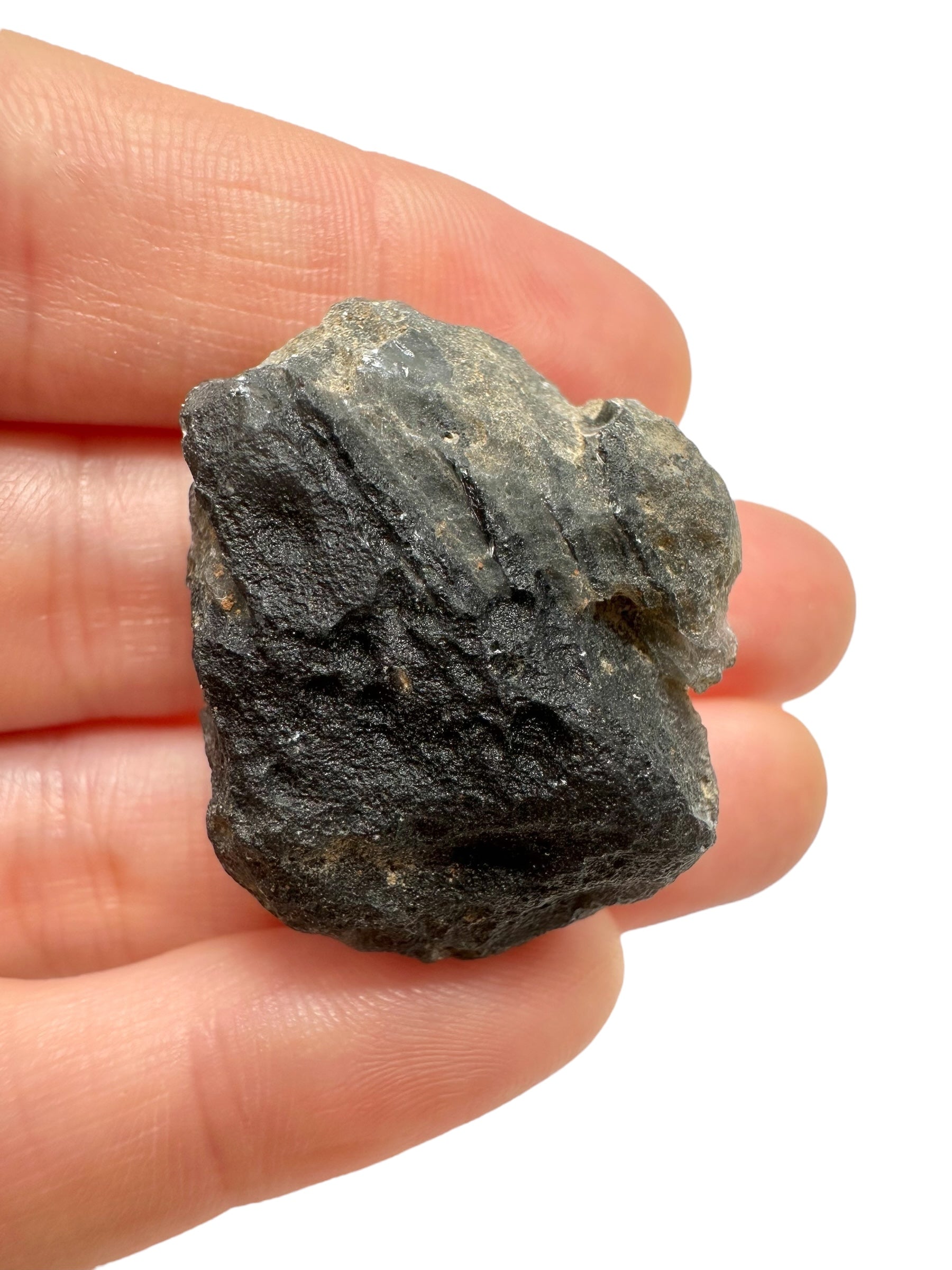 Obsidian 14,6g – Brehov, Slovakia