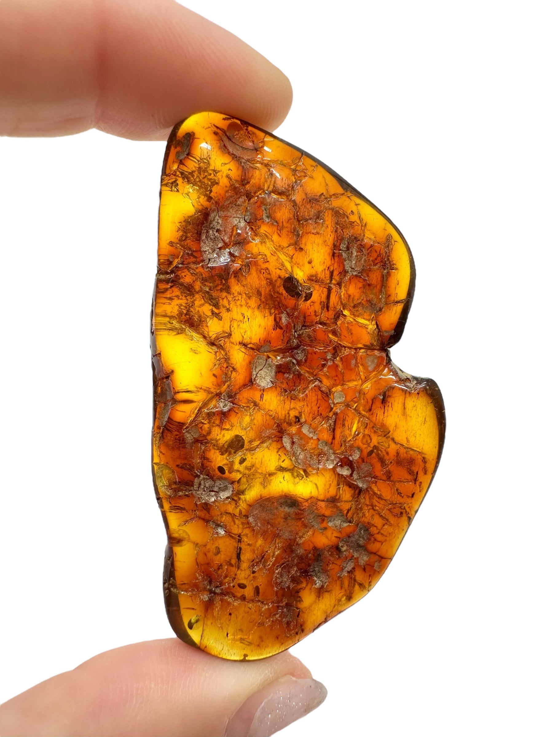 Amber 11,3g – Lithuania - JN536