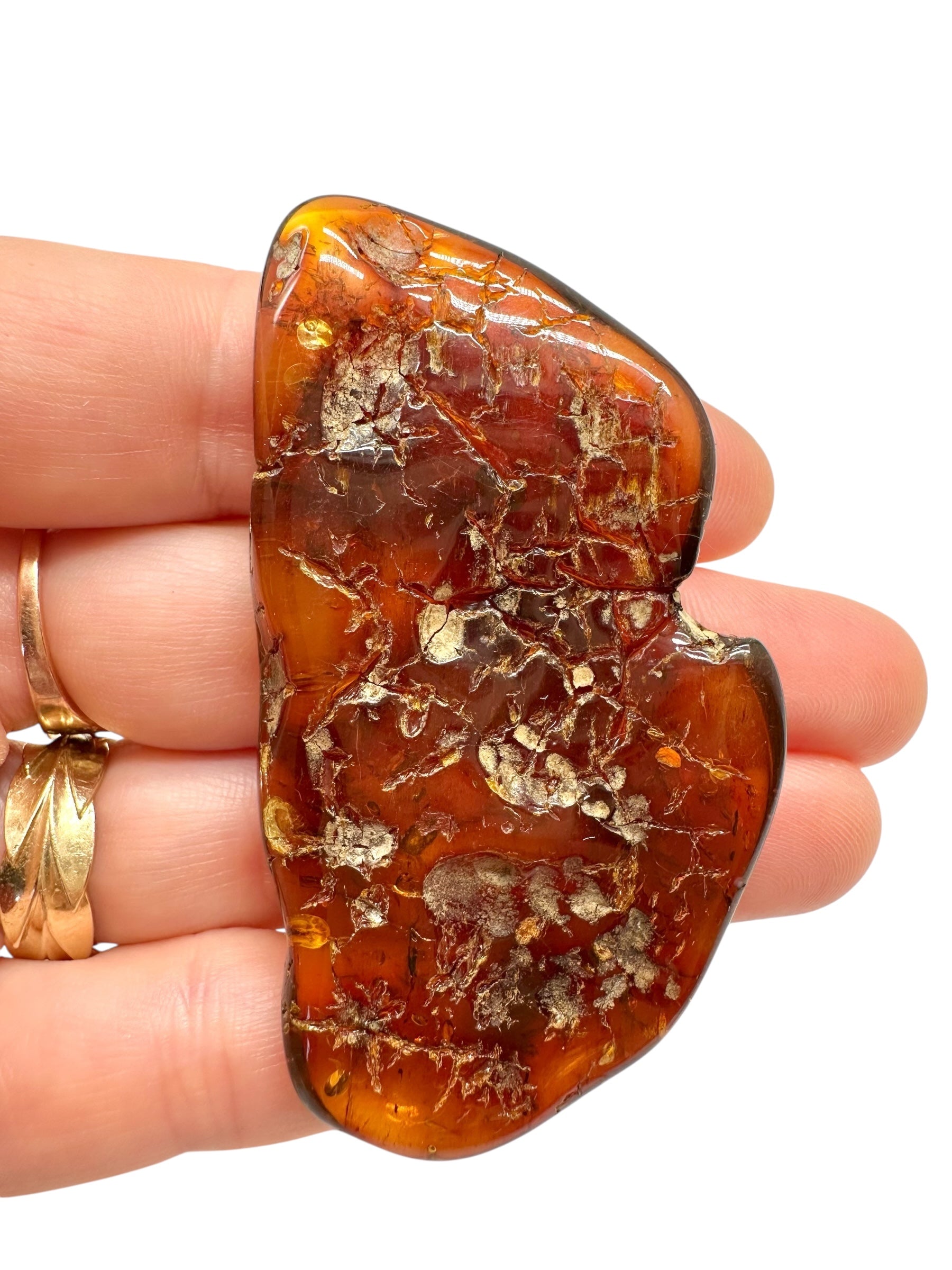 Amber 11,3g – Lithuania - JN536