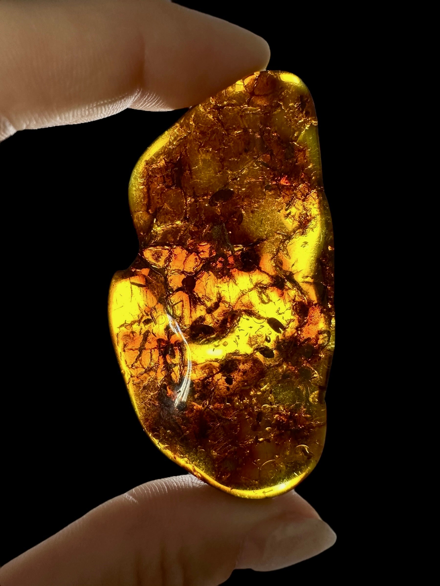 Amber 11,3g – Lithuania - JN536