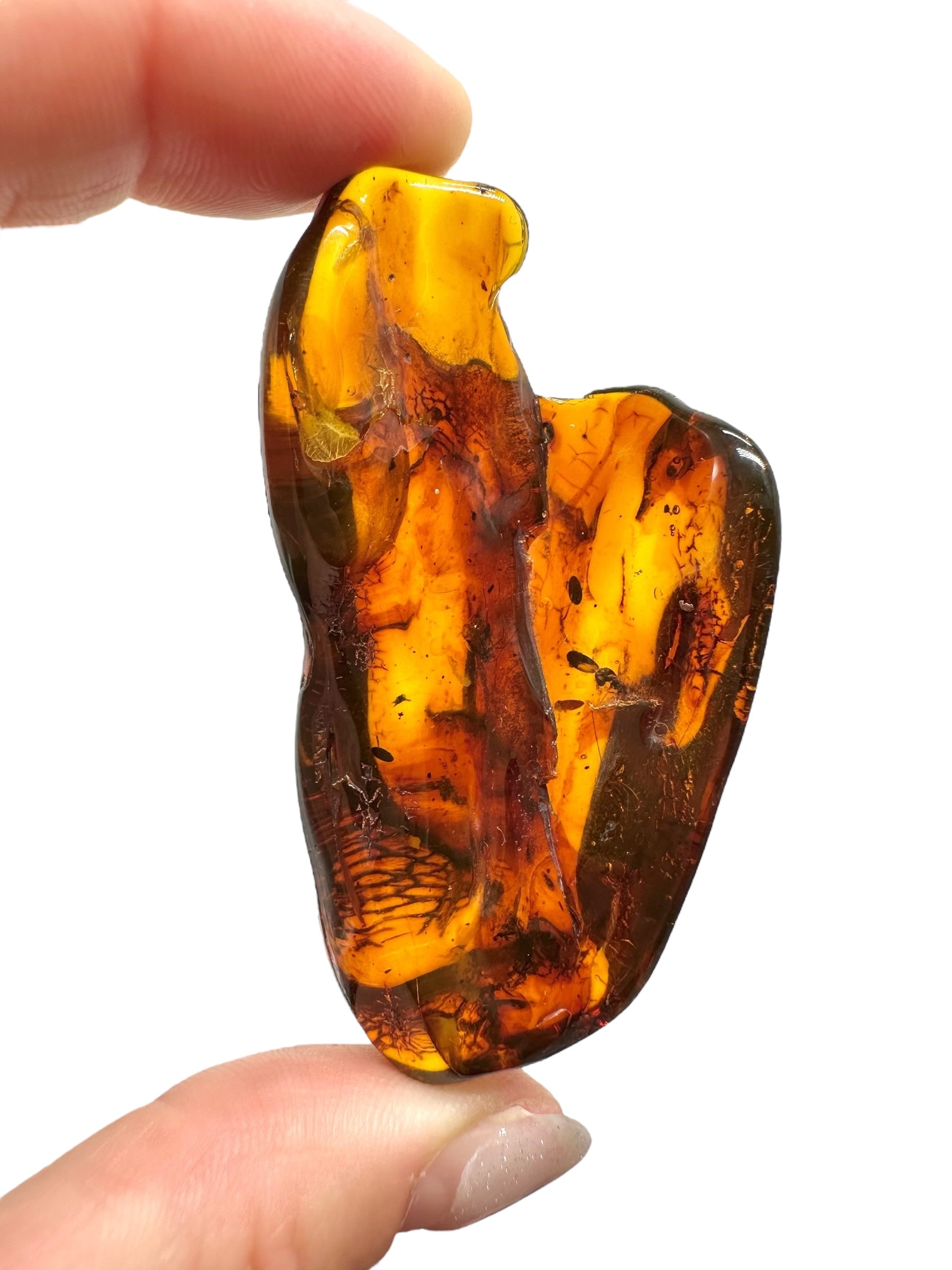 Amber 15,7g – Lithuania - JN541
