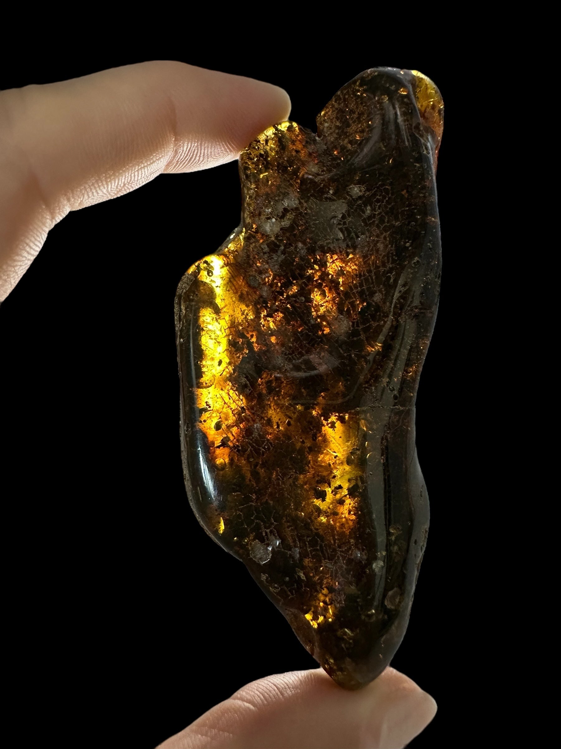 Amber 41,9g – Lithuania - JN545