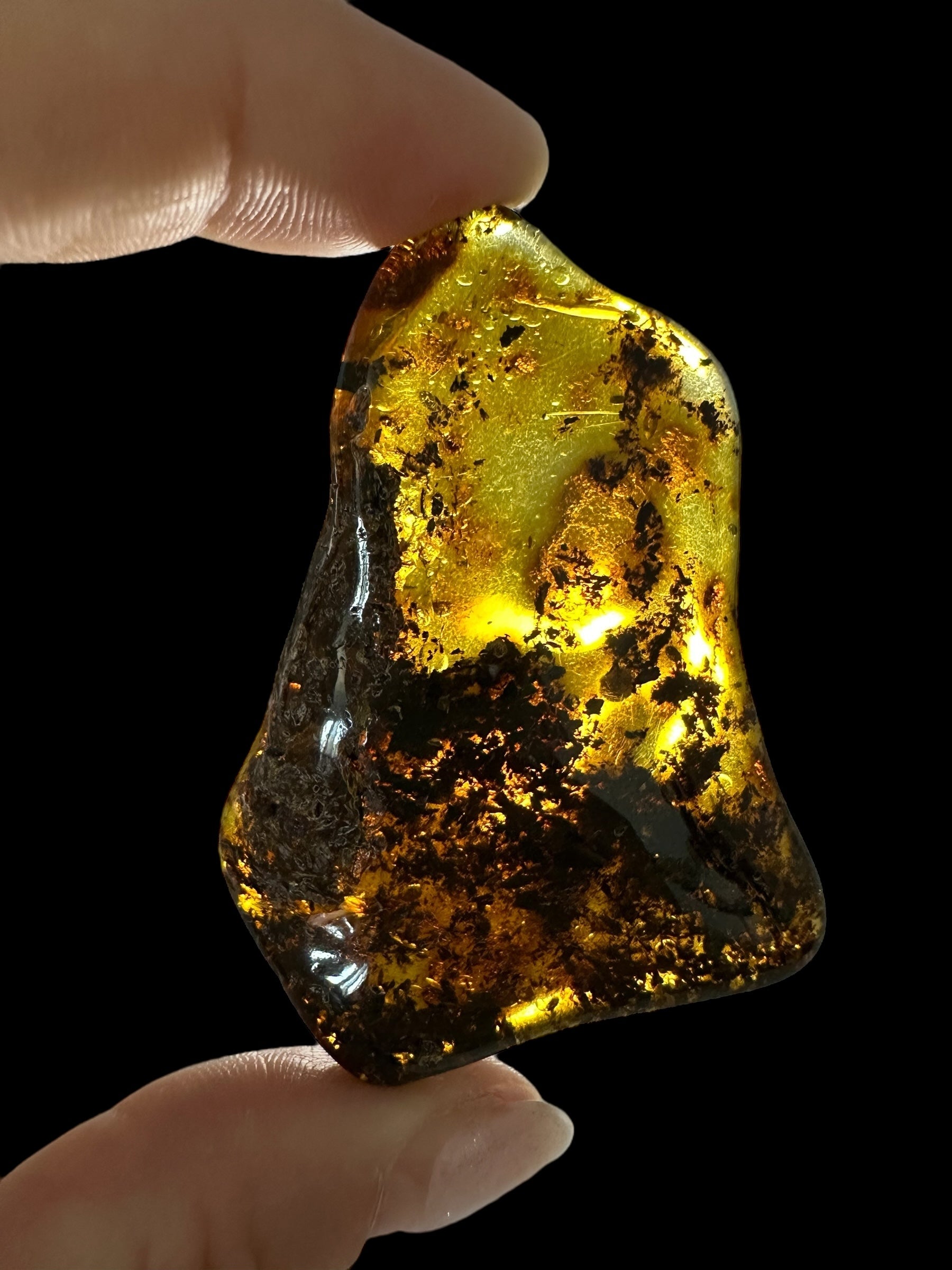 Amber 14,2g – Lithuania - JN546