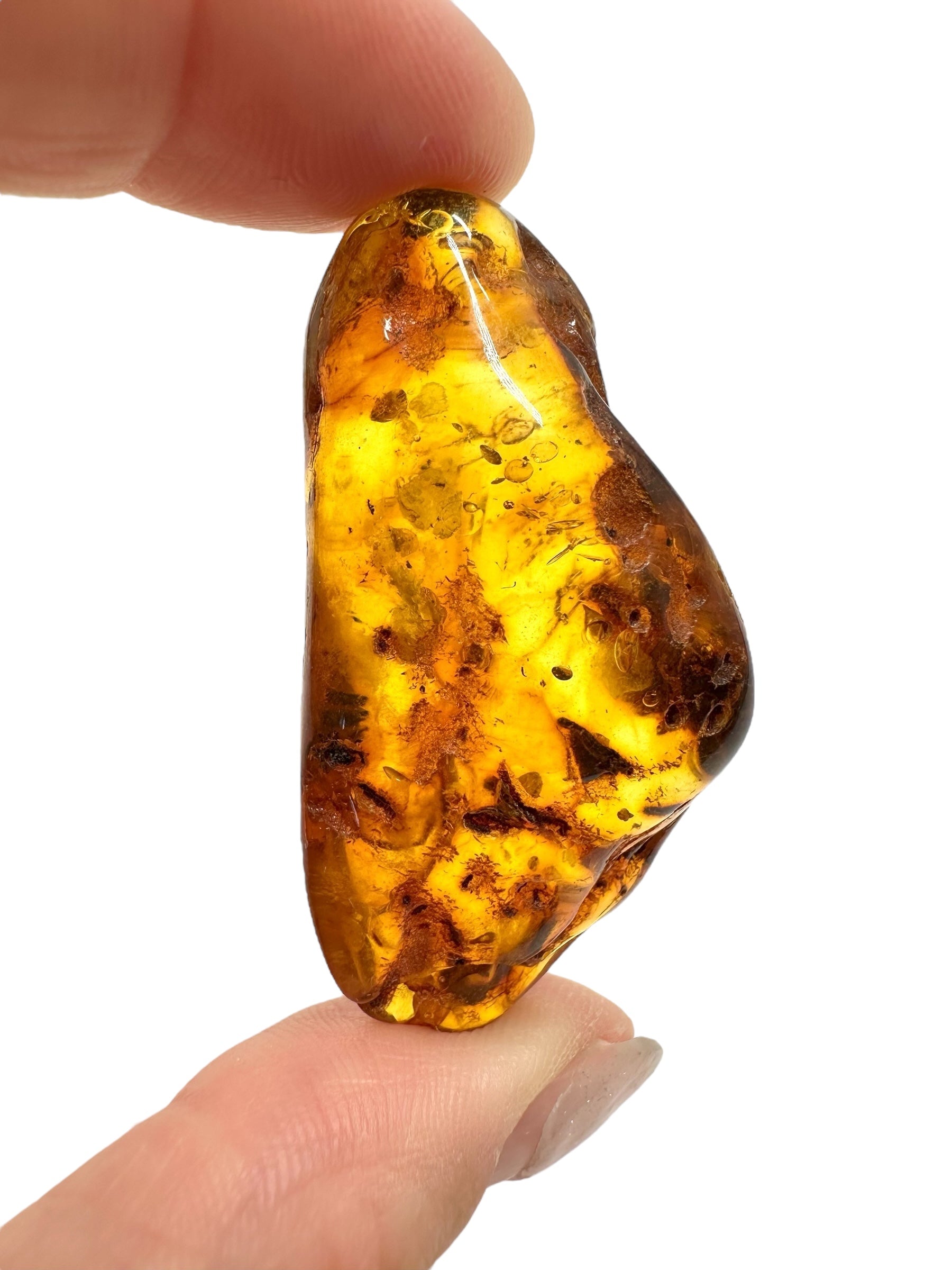 Amber 9,6g – Lithuania