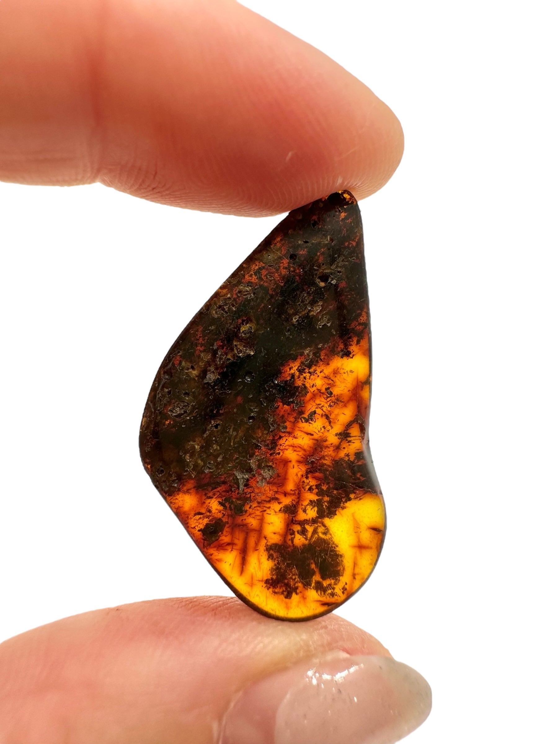 Amber 1,6g – Lithuania - JN555