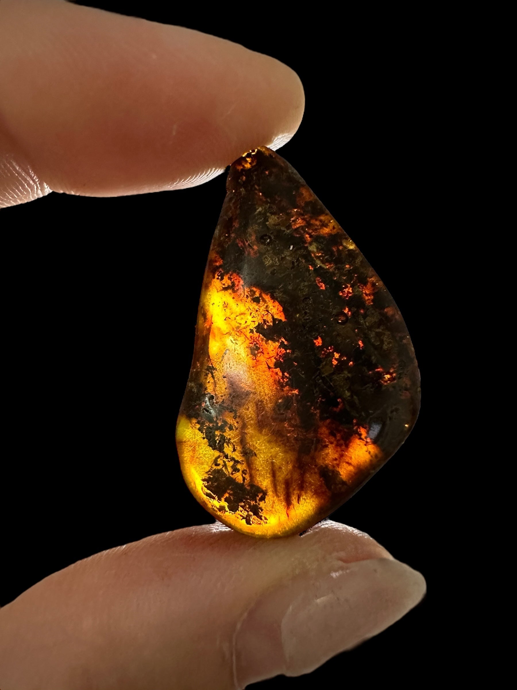 Amber 1,6g – Lithuania - JN555