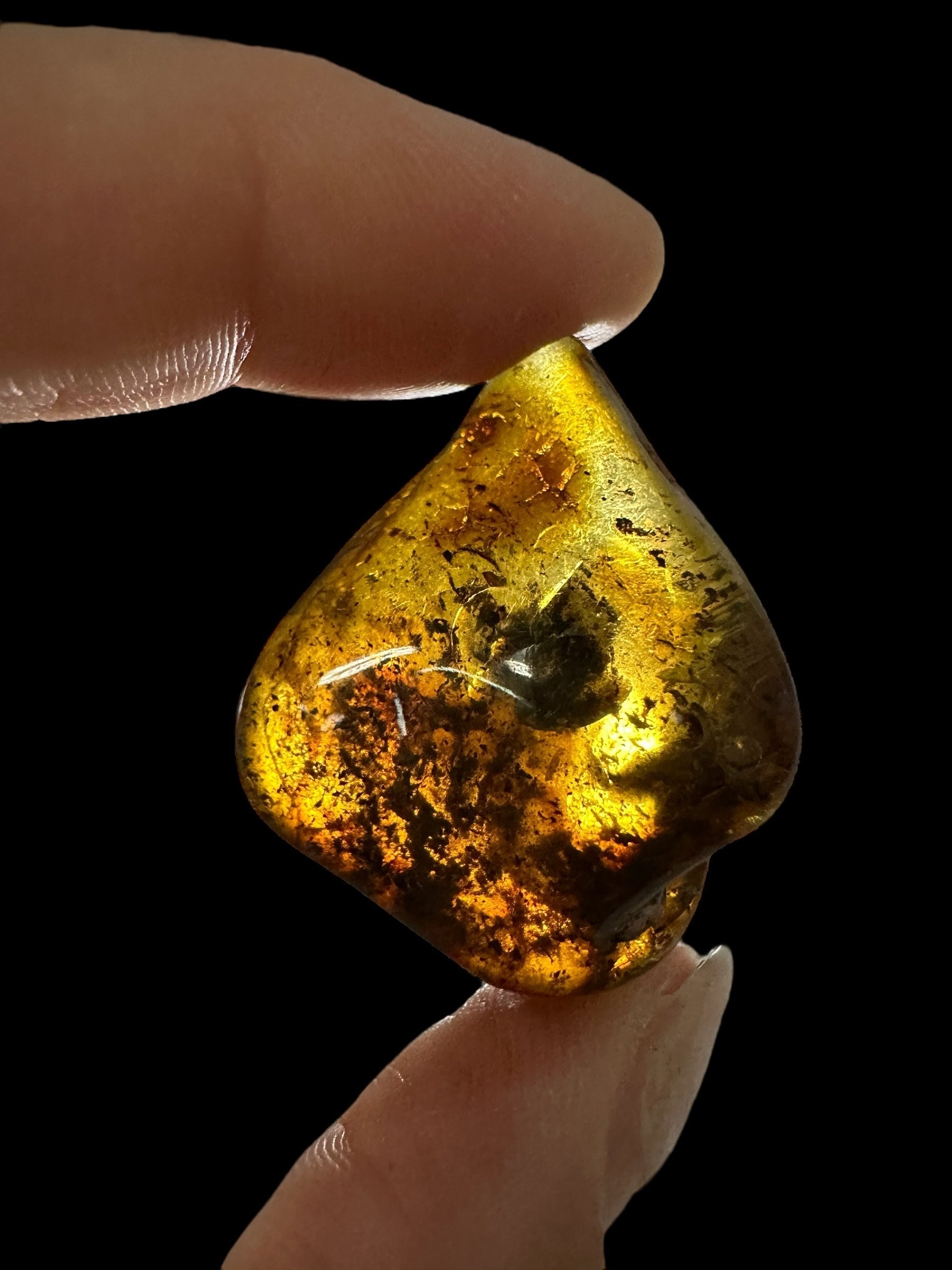 Amber 5g – Lithuania - JN556