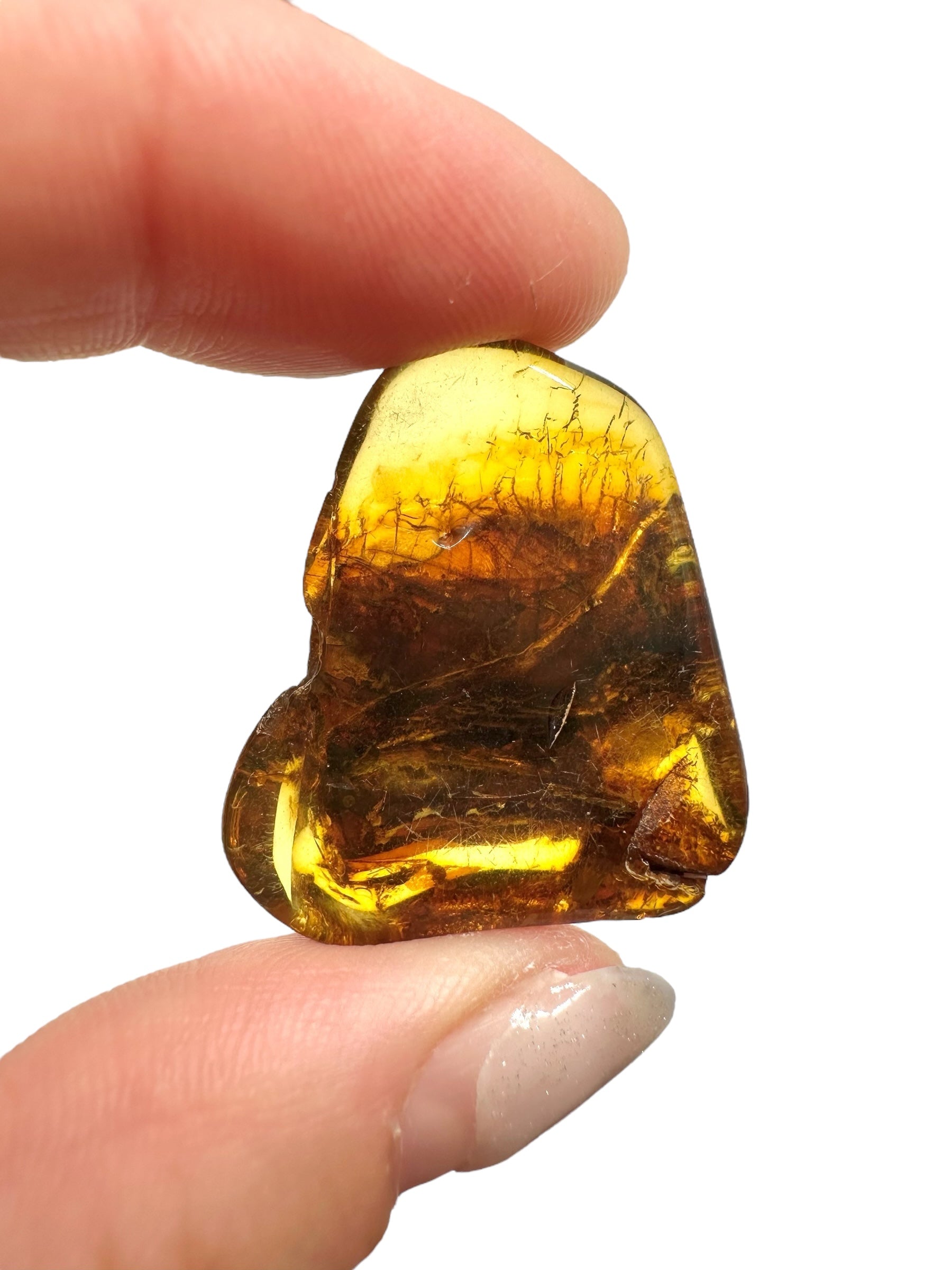 Amber 3,6g – Lithuania - JN559