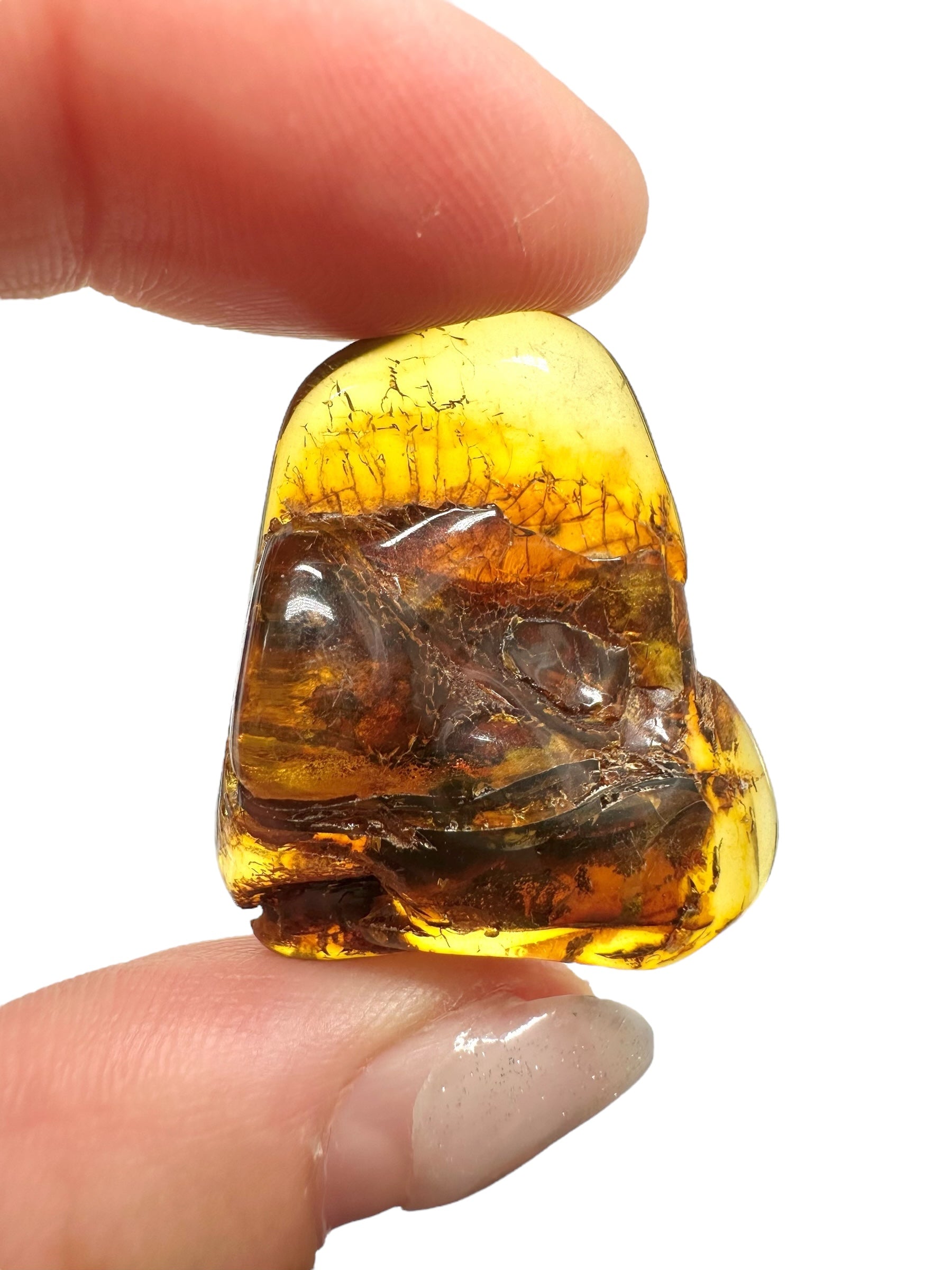 Amber 3,6g – Lithuania