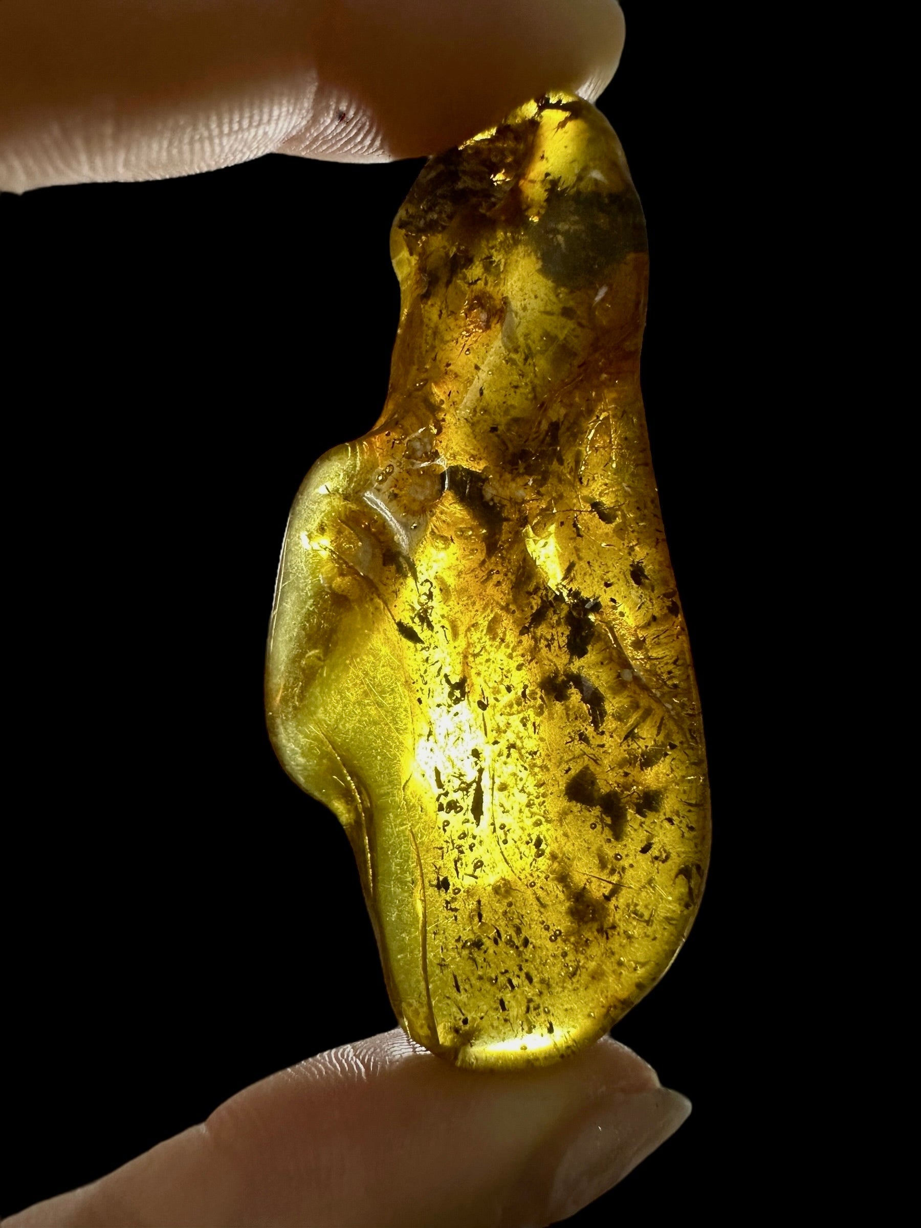 Amber 10,8g – Lithuania - JN561
