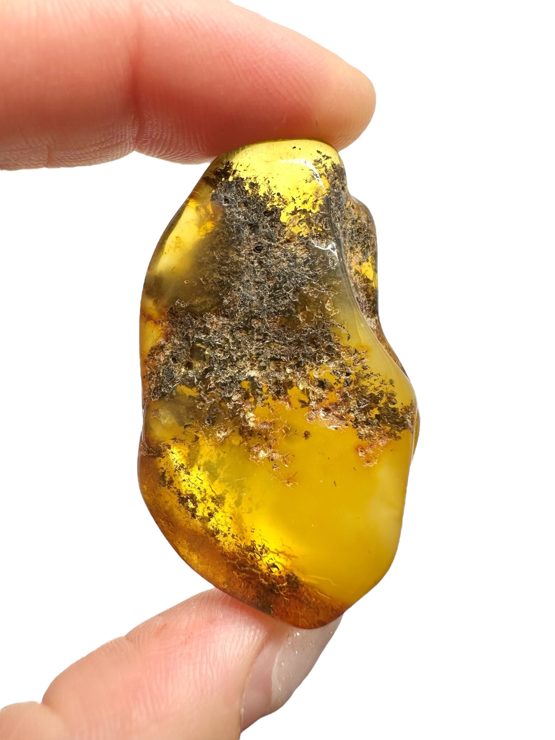Amber 11,1g – Lithuania - JN562