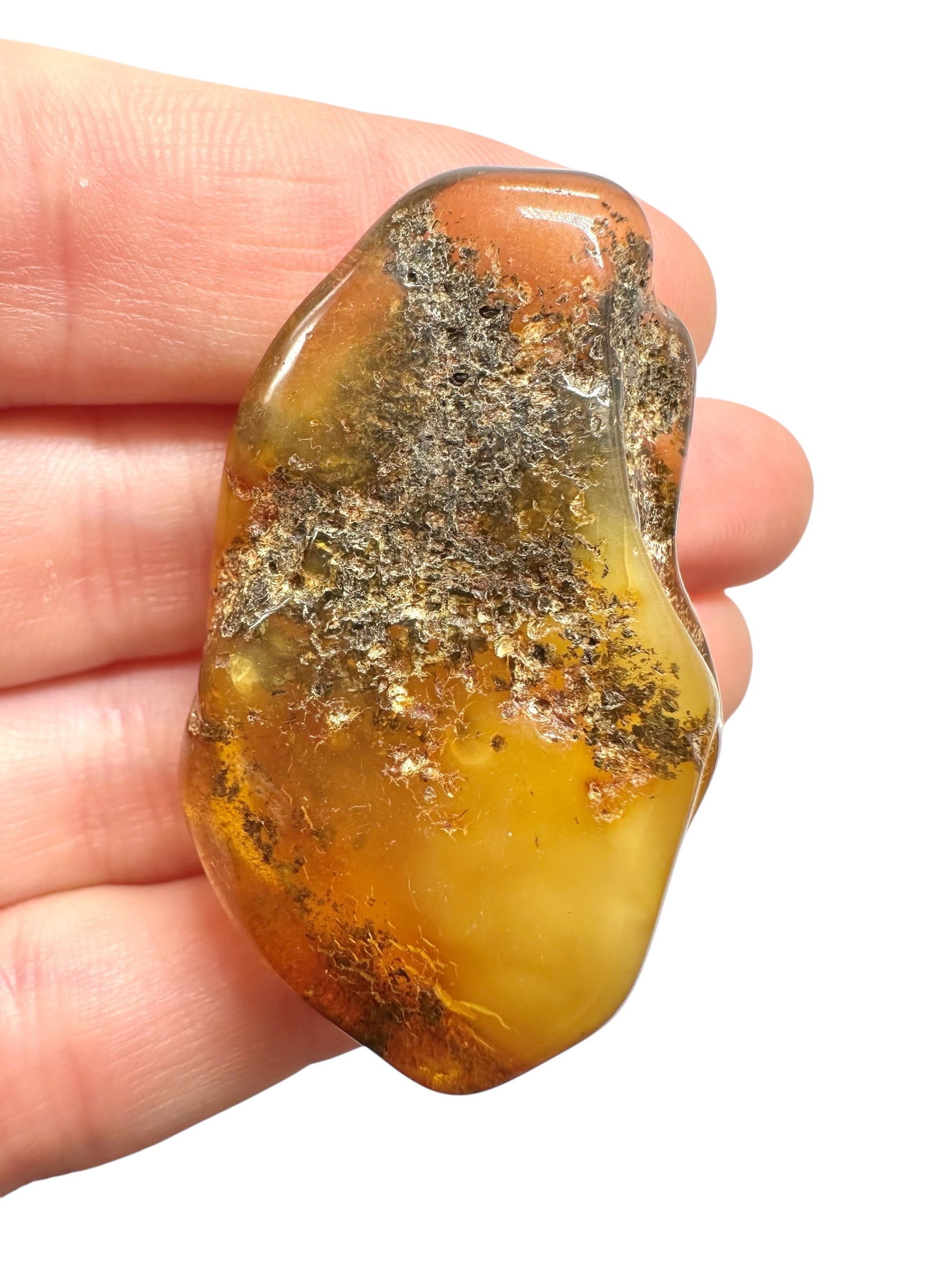 Amber 11,1g – Lithuania - JN562