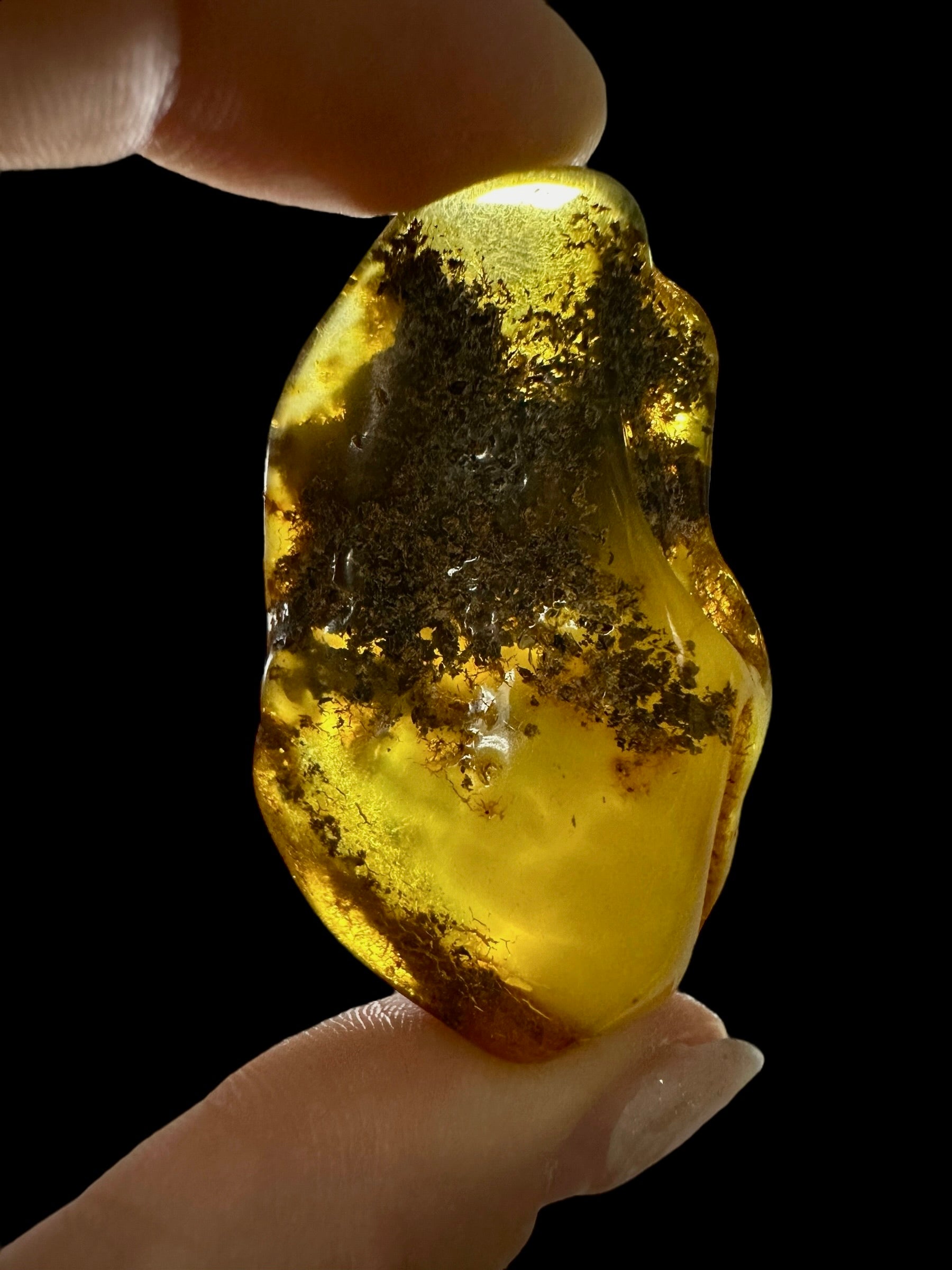 Amber 11,1g – Lithuania - JN562