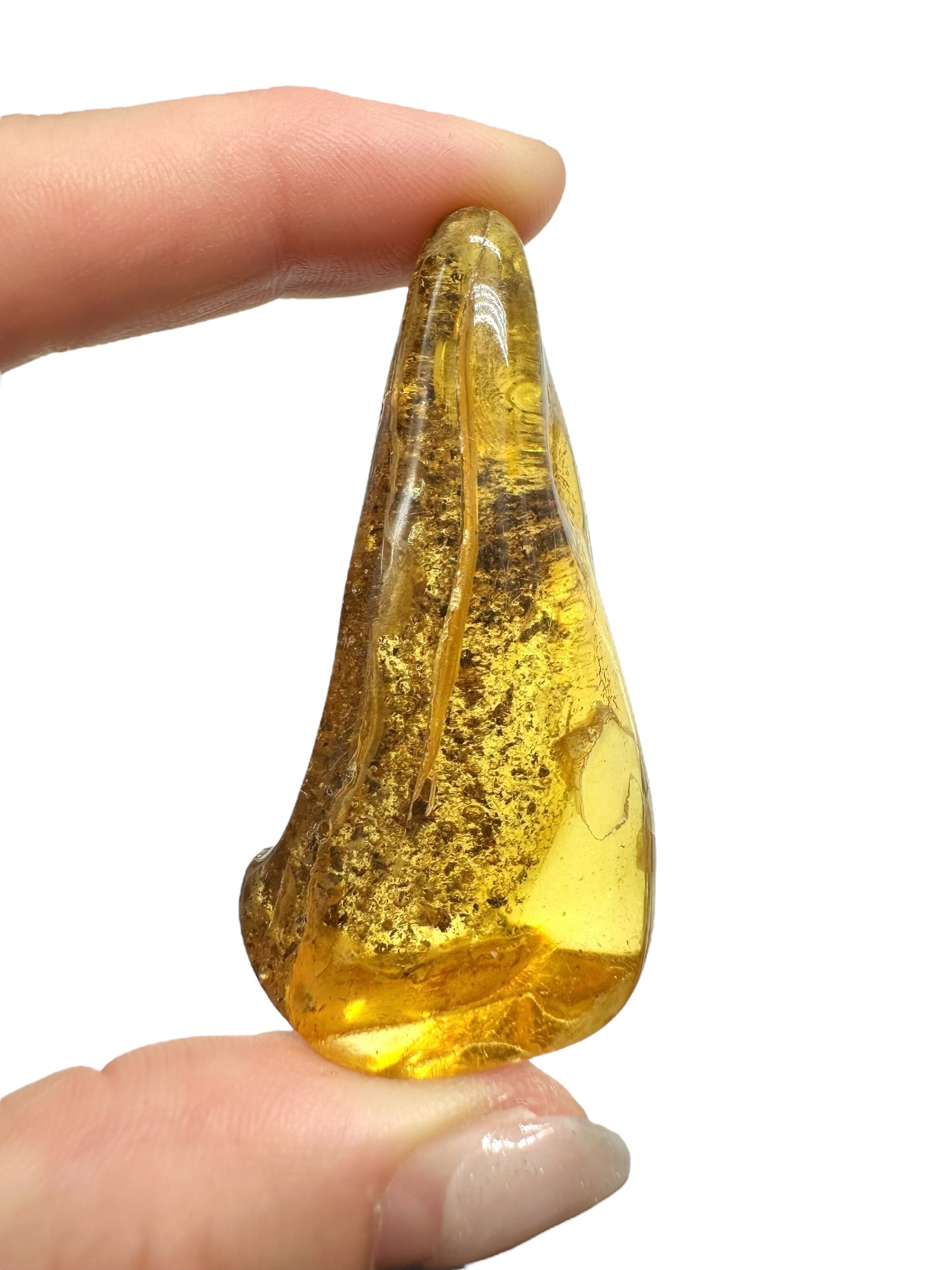Amber 10,6g – Lithuania - JN563