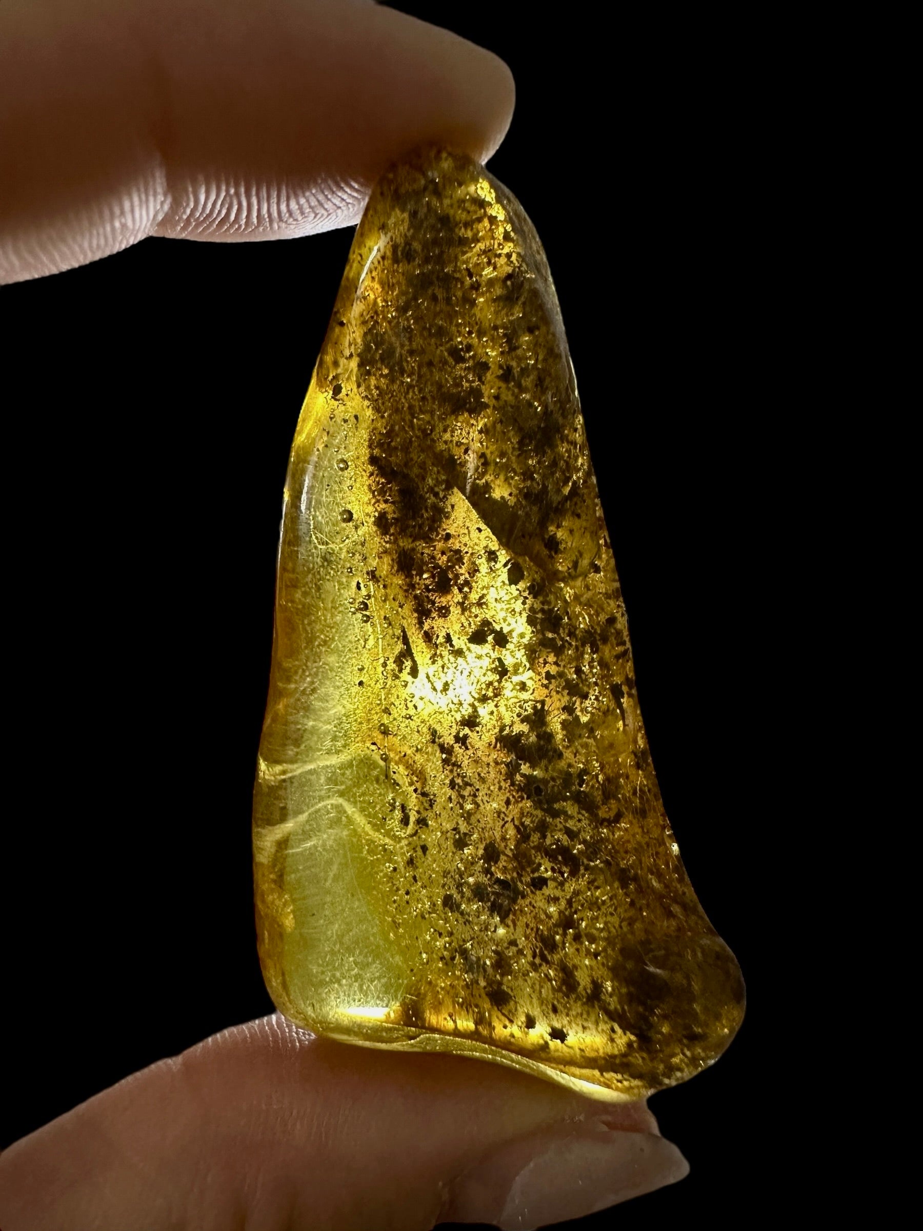 Amber 10,6g – Lithuania - JN563