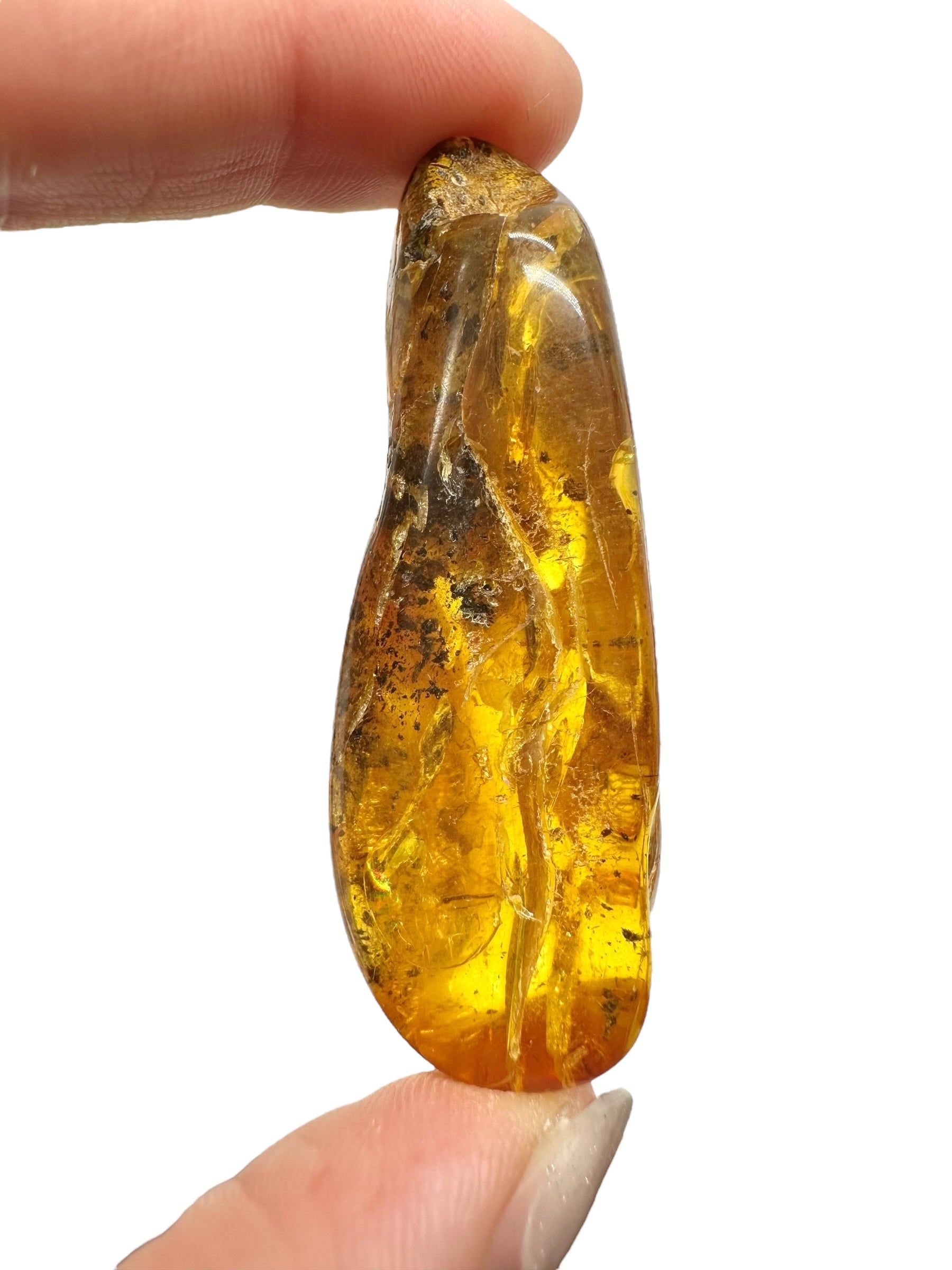 Amber 10g – Lithuania - JN564