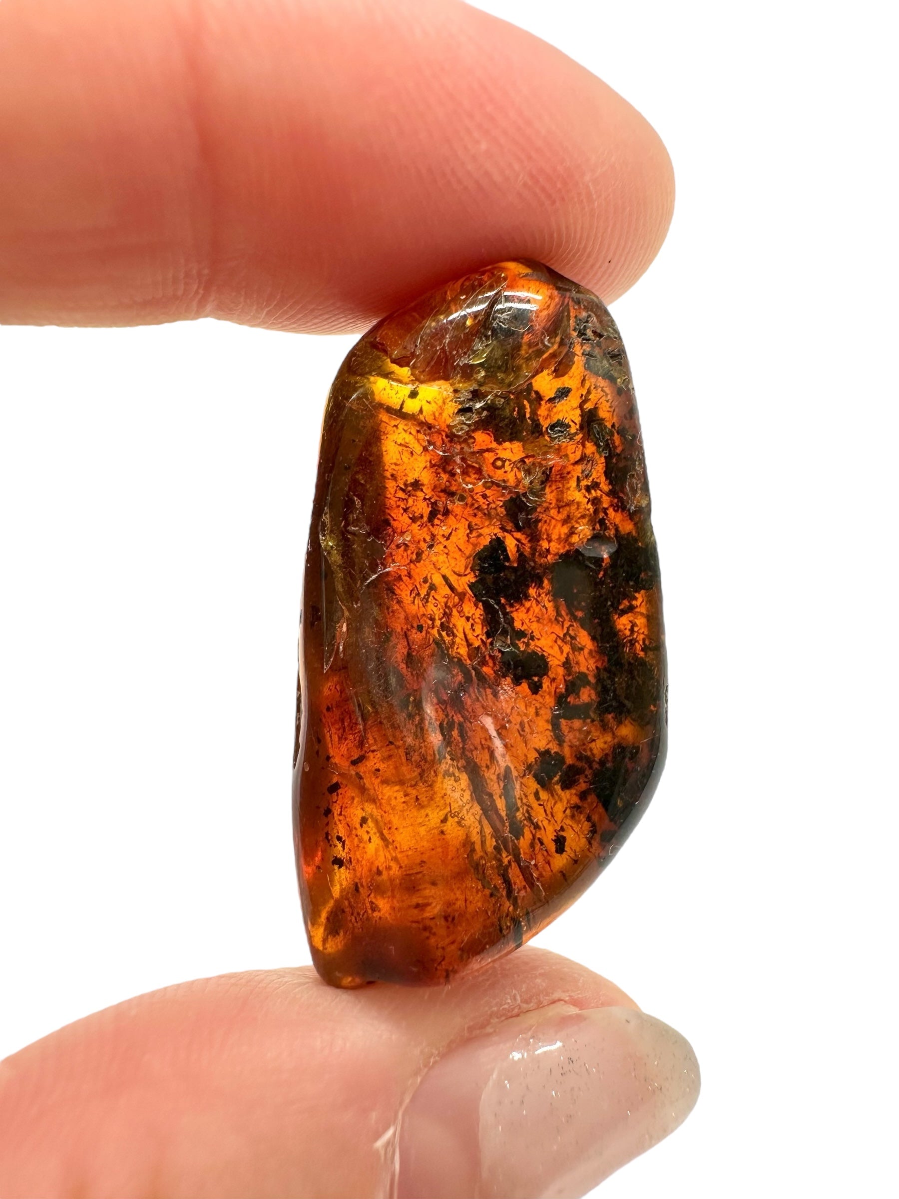 Amber 3,9g – Lithuania - JN566