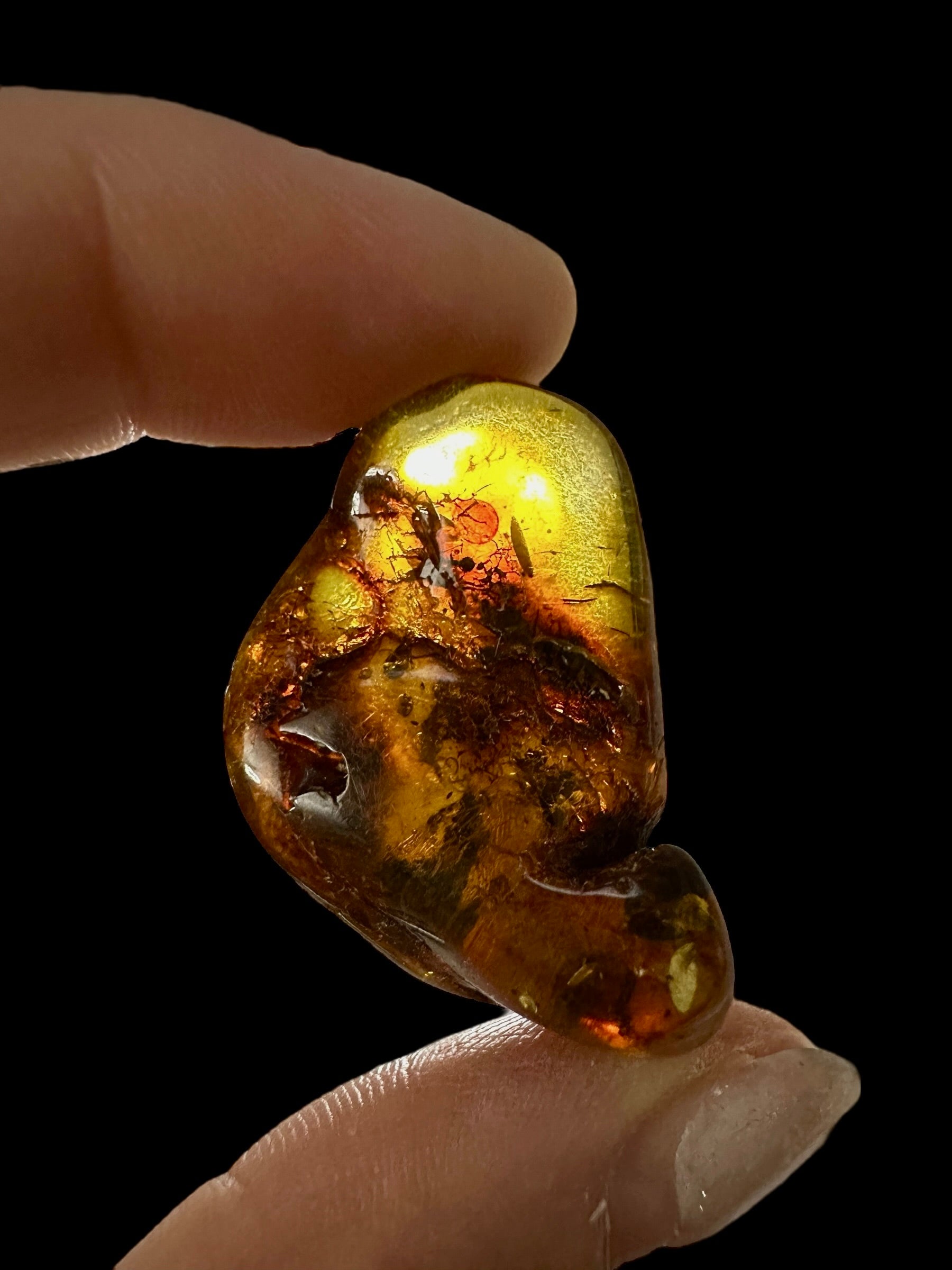 Amber 4,8g – Lithuania - JN567