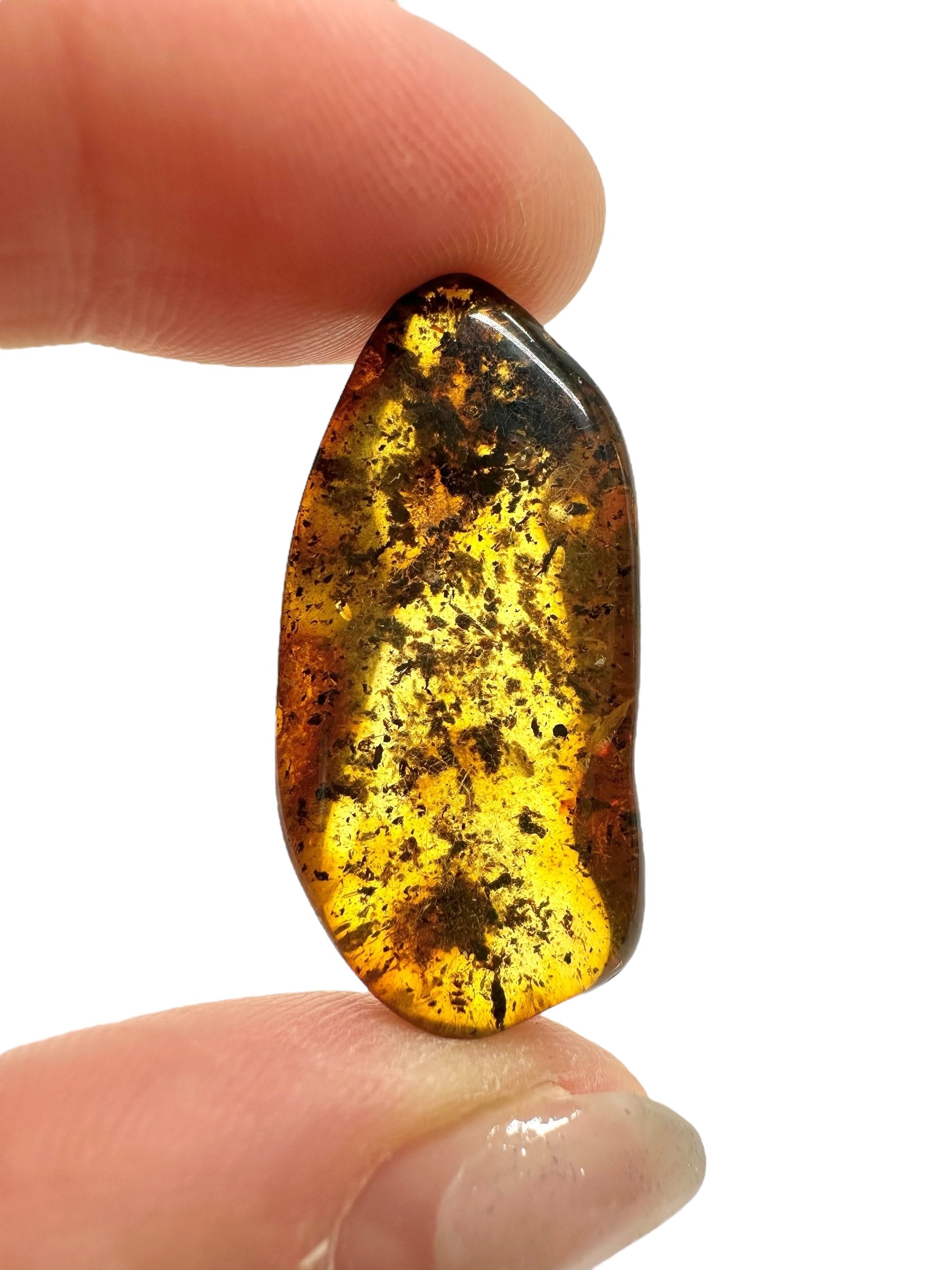 Amber 2,7g – Lithuania - JN568