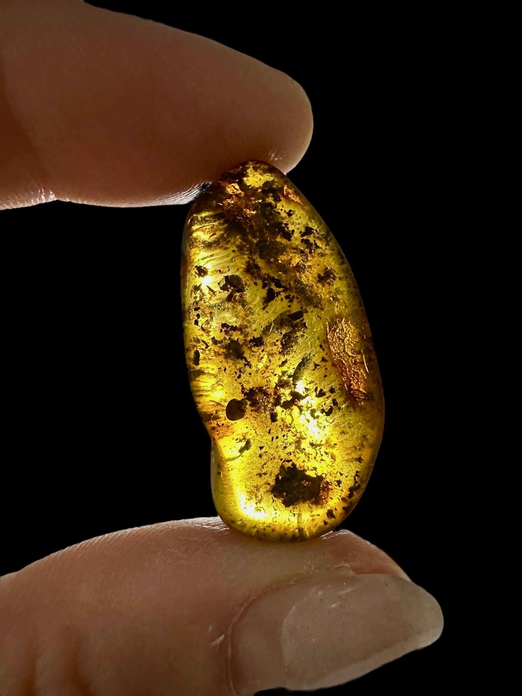Amber 2,7g – Lithuania - JN568