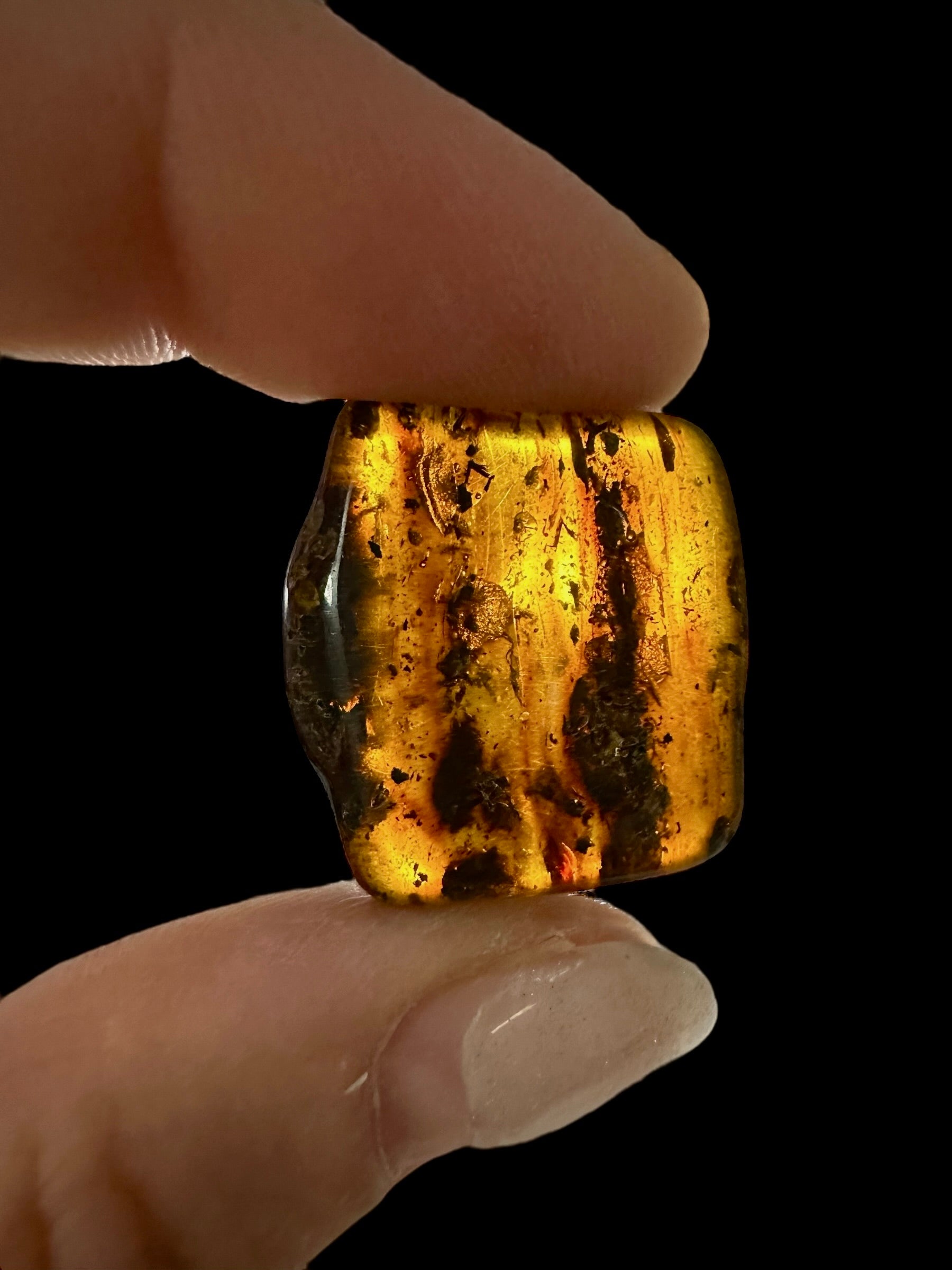 Amber 2,4g – Lithuania - JN569