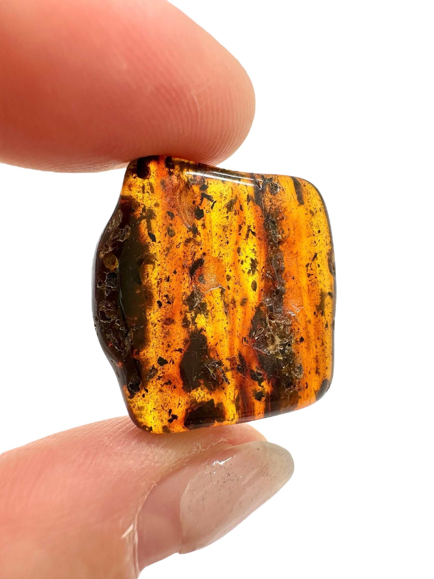 Amber 2,4g – Lithuania
