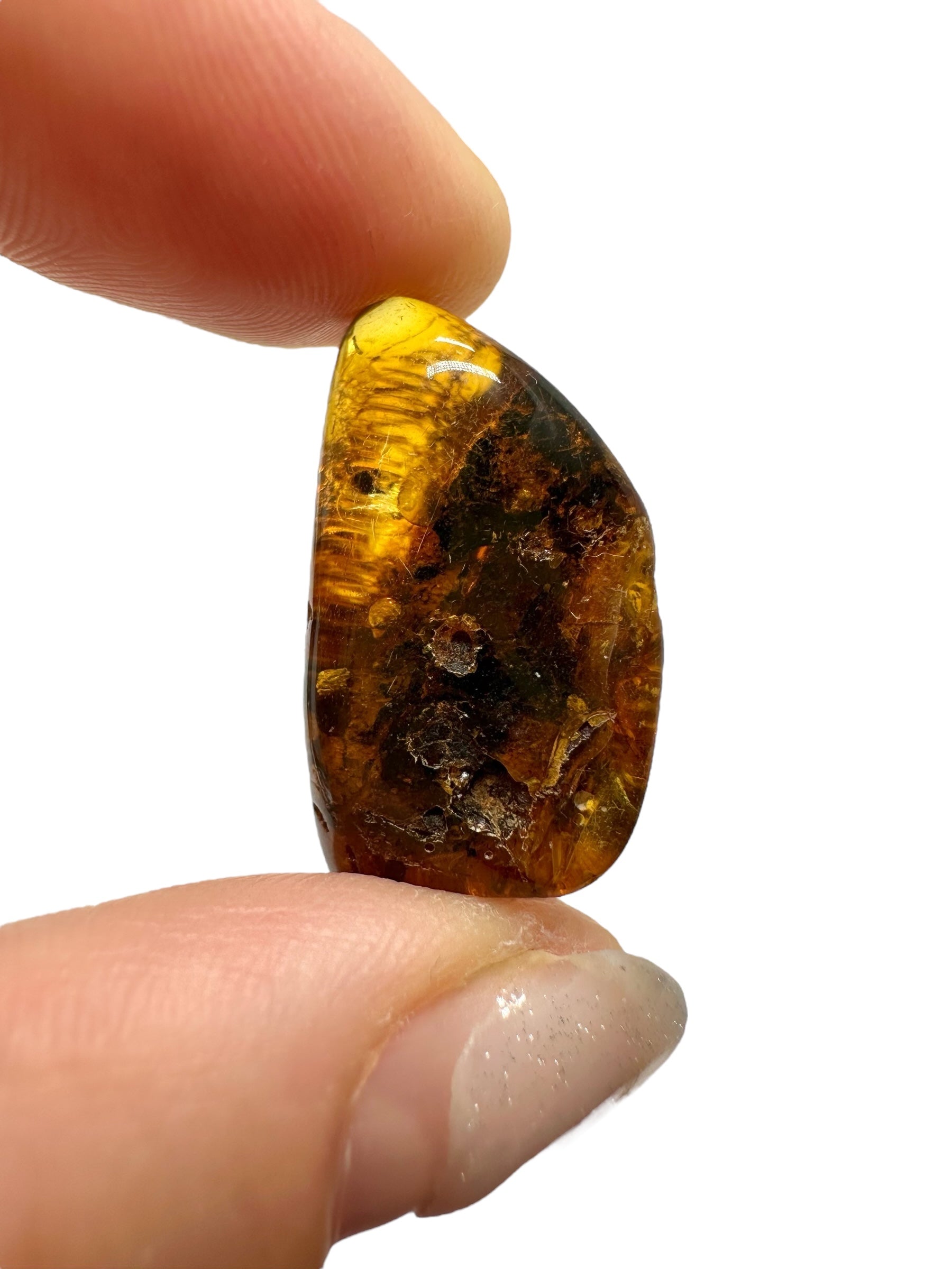 Amber 2,4g – Lithuania - JN576