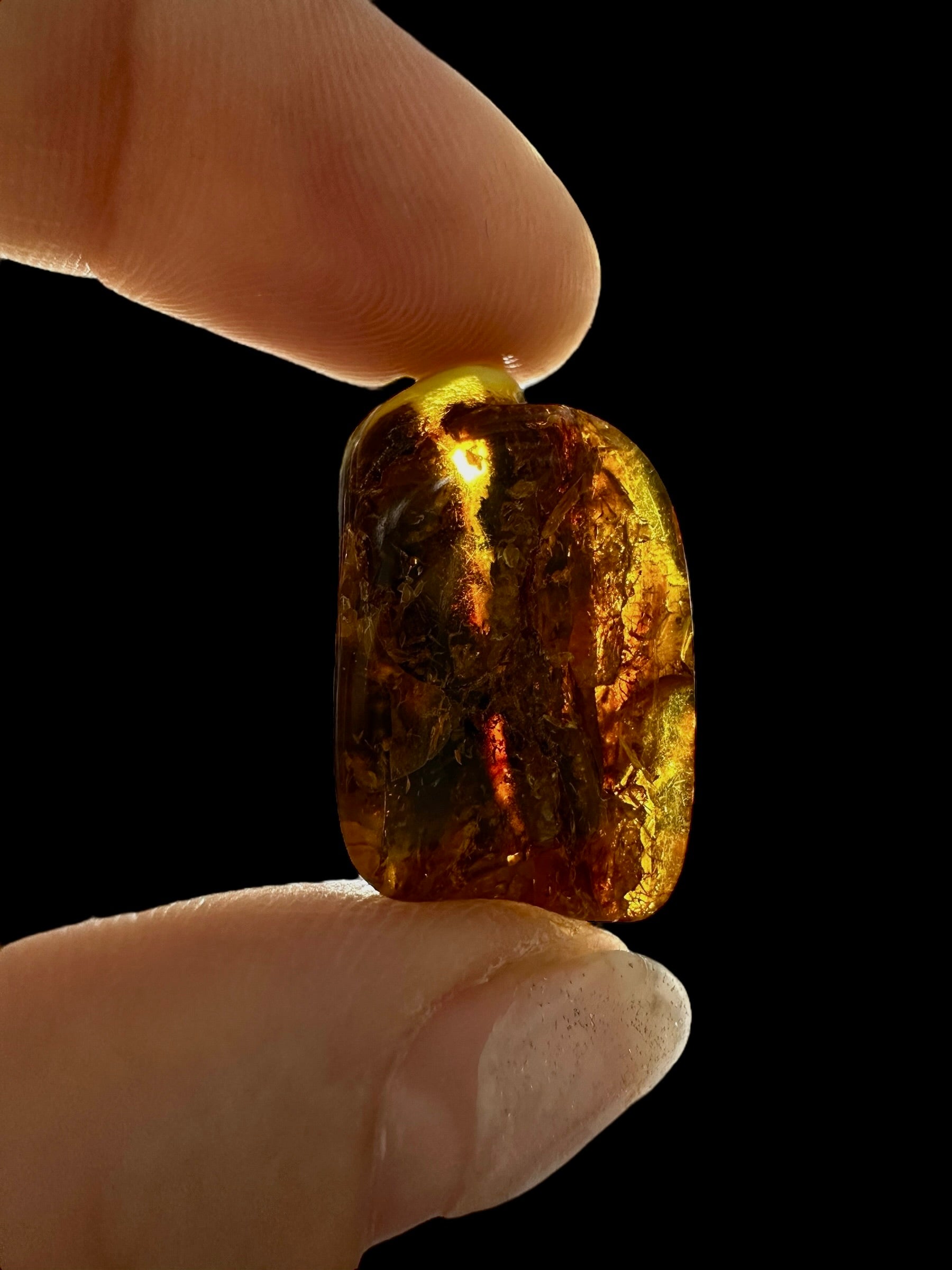 Amber 2,4g – Lithuania - JN576