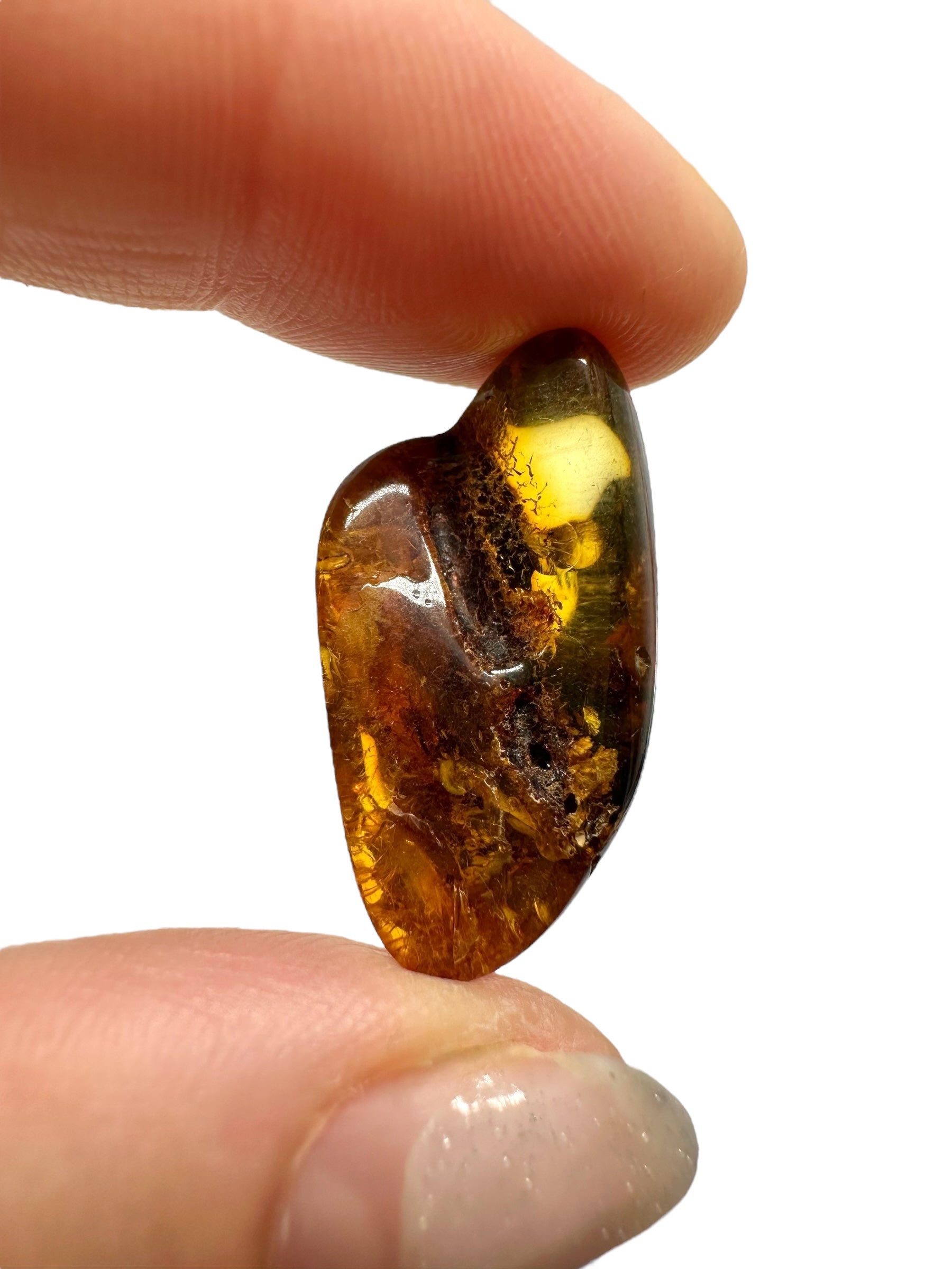 Amber 2,4g – Lithuania