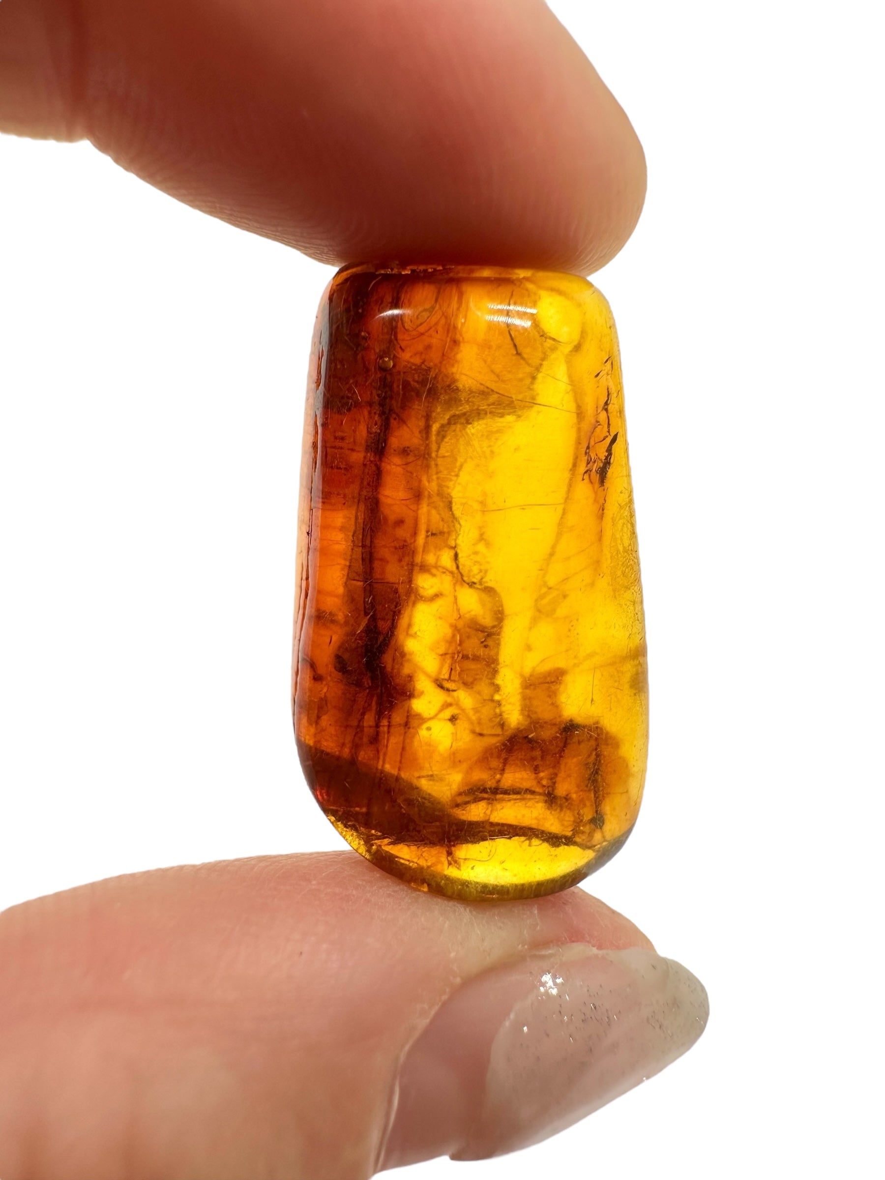 Amber 2,8g – Lithuania - JN579