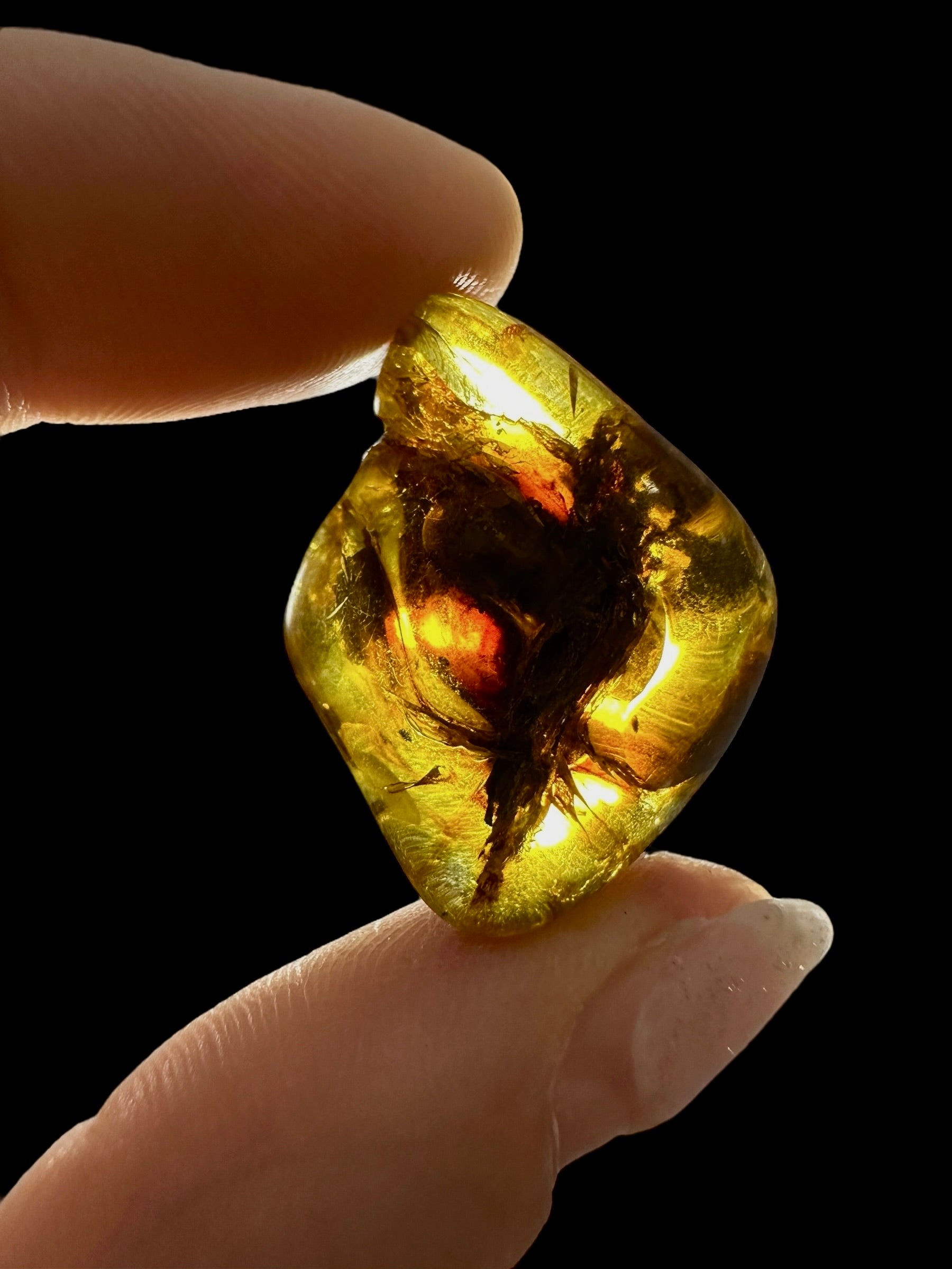 Amber 3,6g – Lithuania - JN581