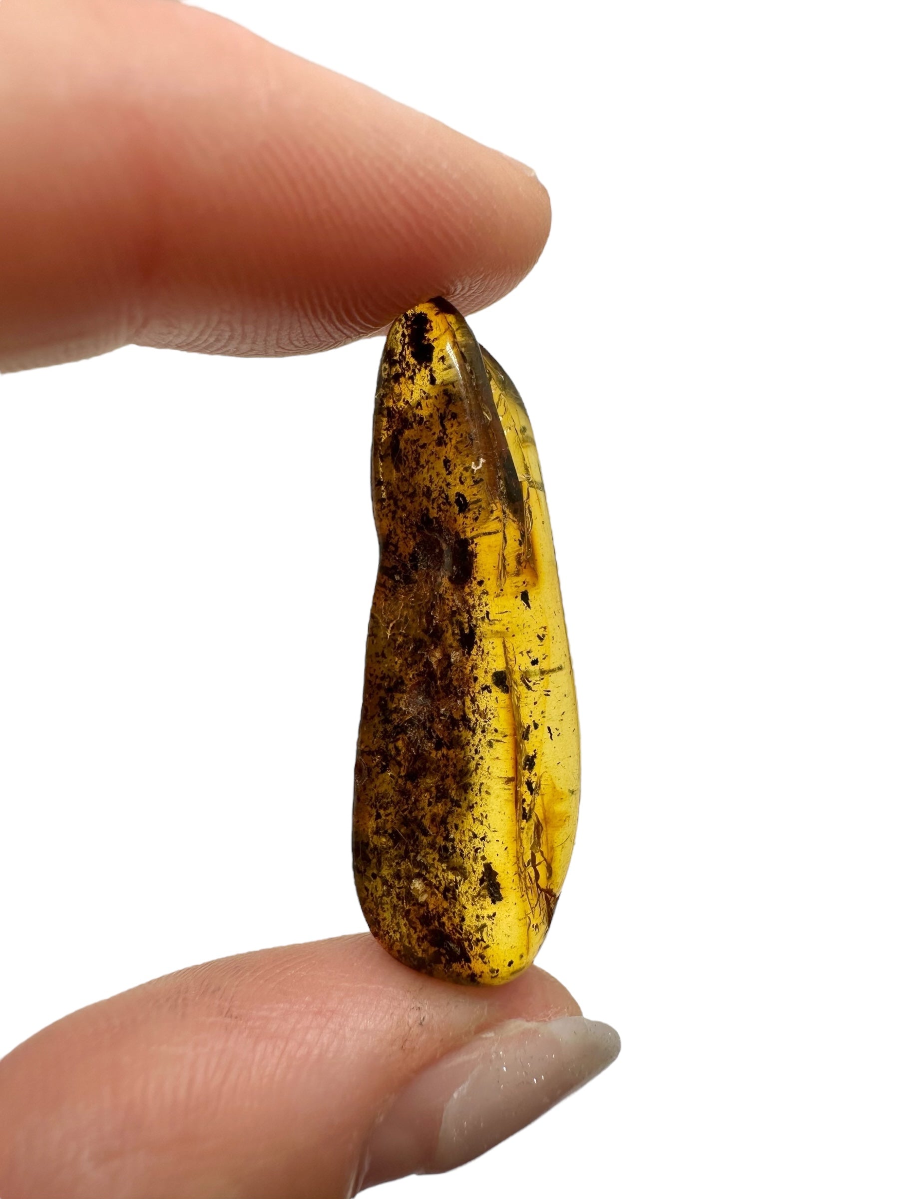 Amber 2,2g – Lithuania - JN585