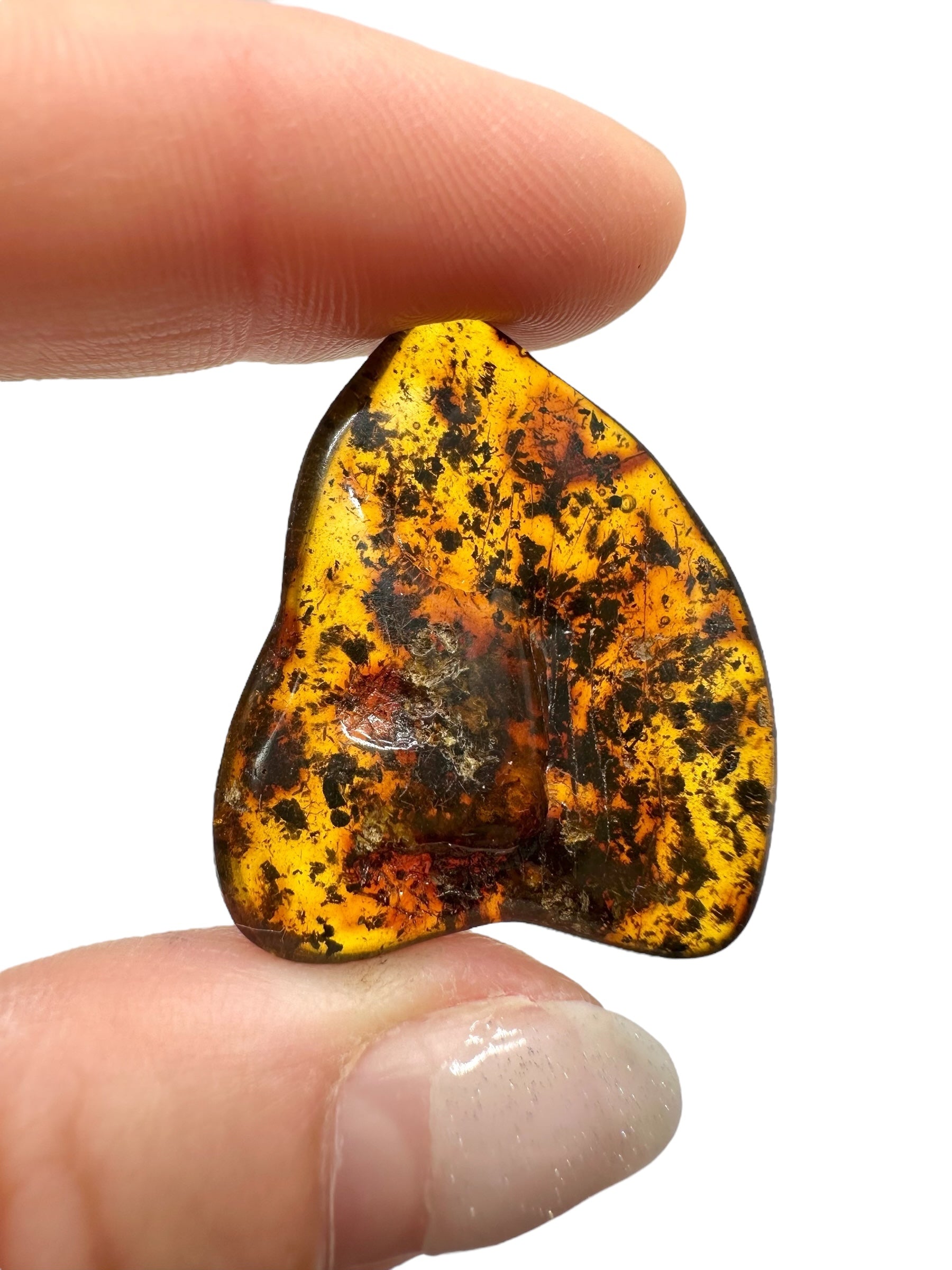 Amber 2,8g – Lithuania - JN586