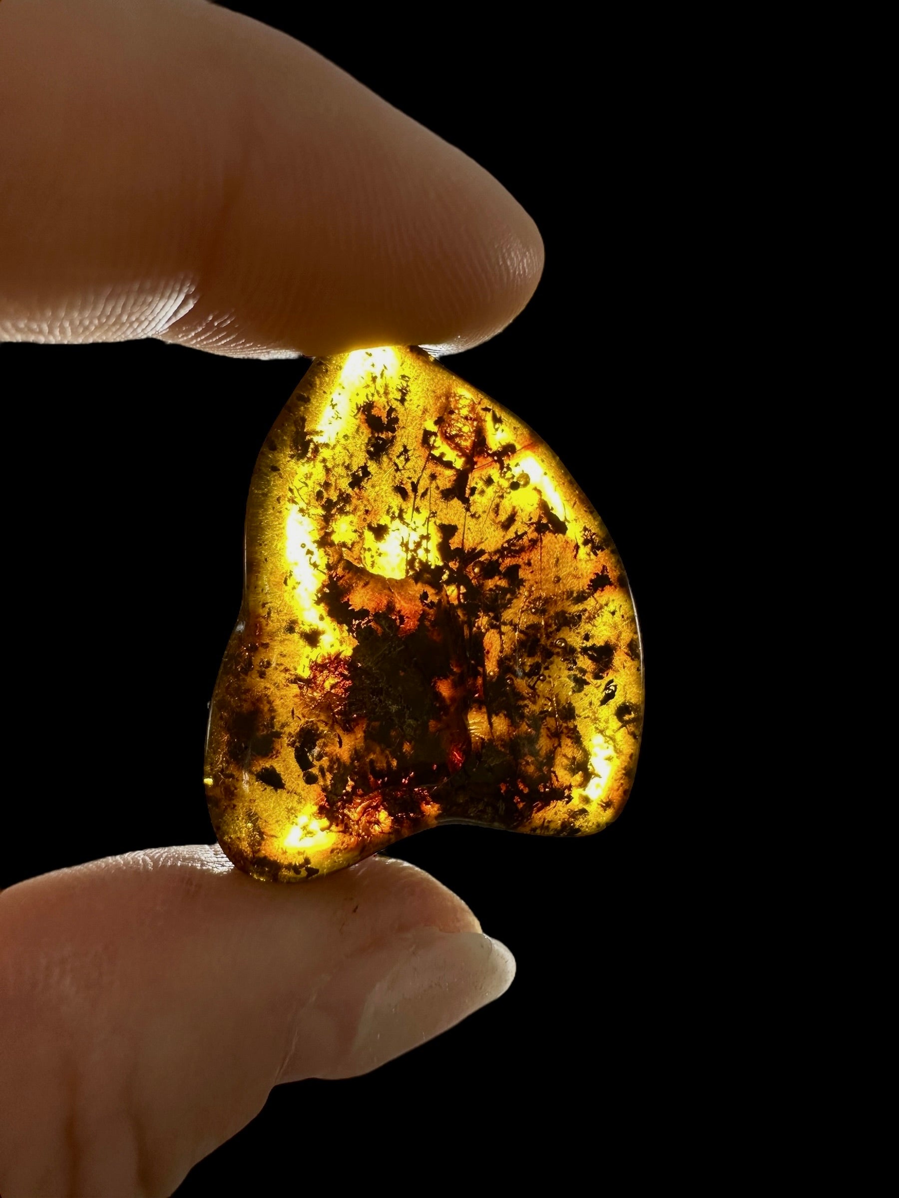 Amber 2,8g – Lithuania - JN586