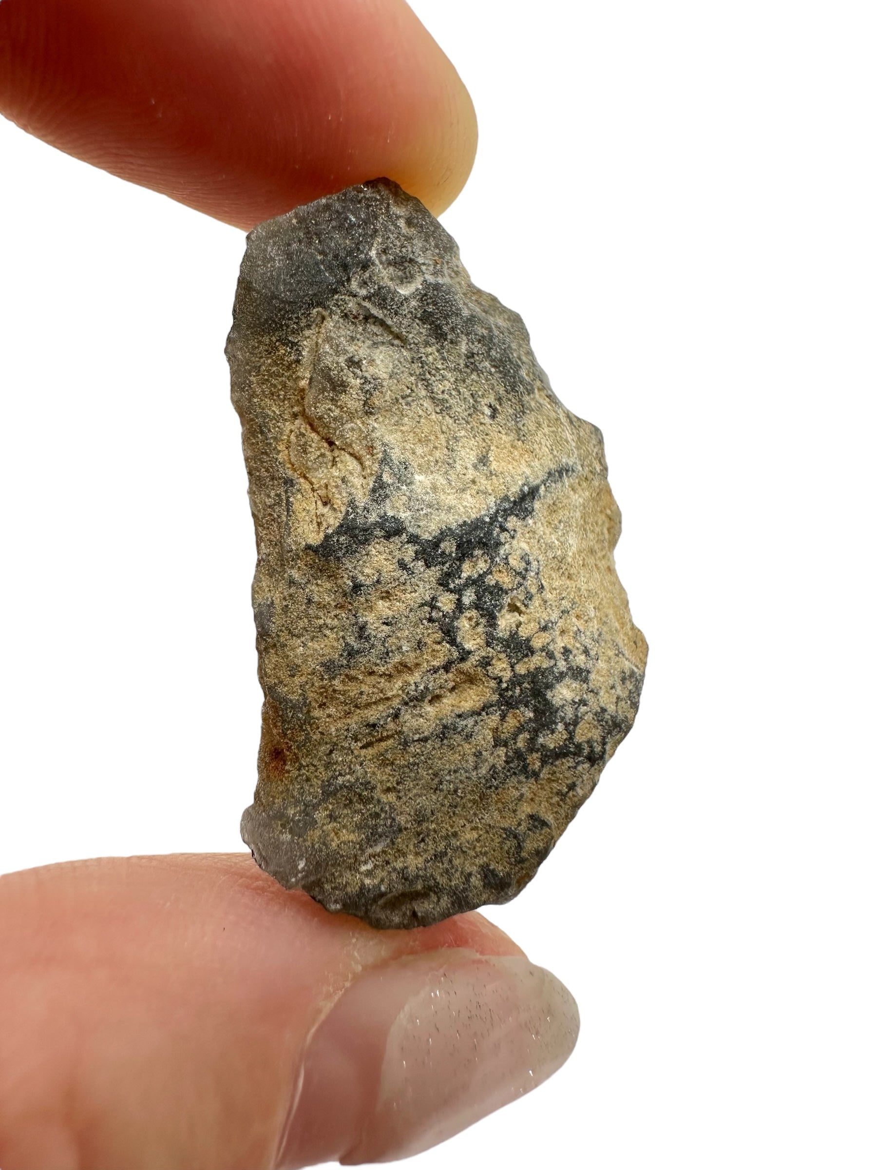 Obsidian 7g – Brehov, Slovakia - OB179