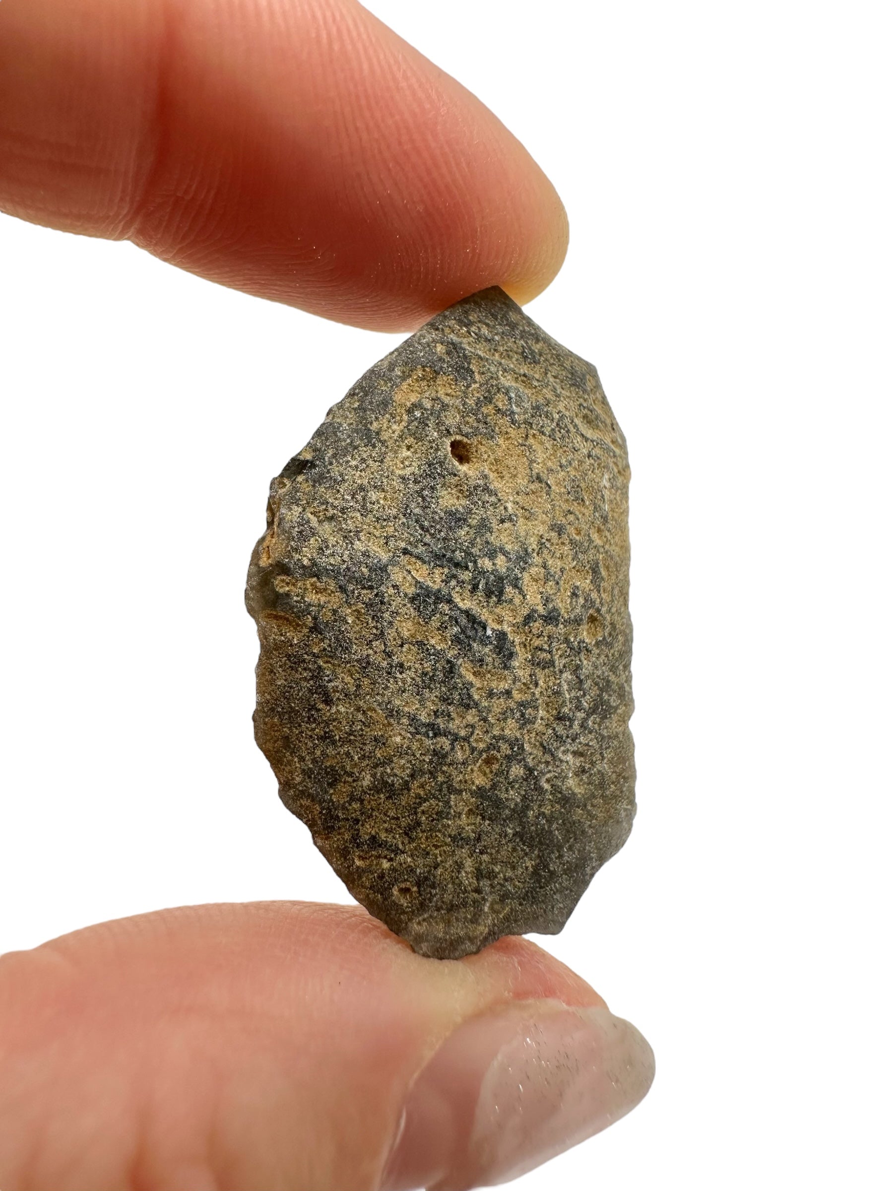 Obsidian 7g – Brehov, Slovakia - OB179