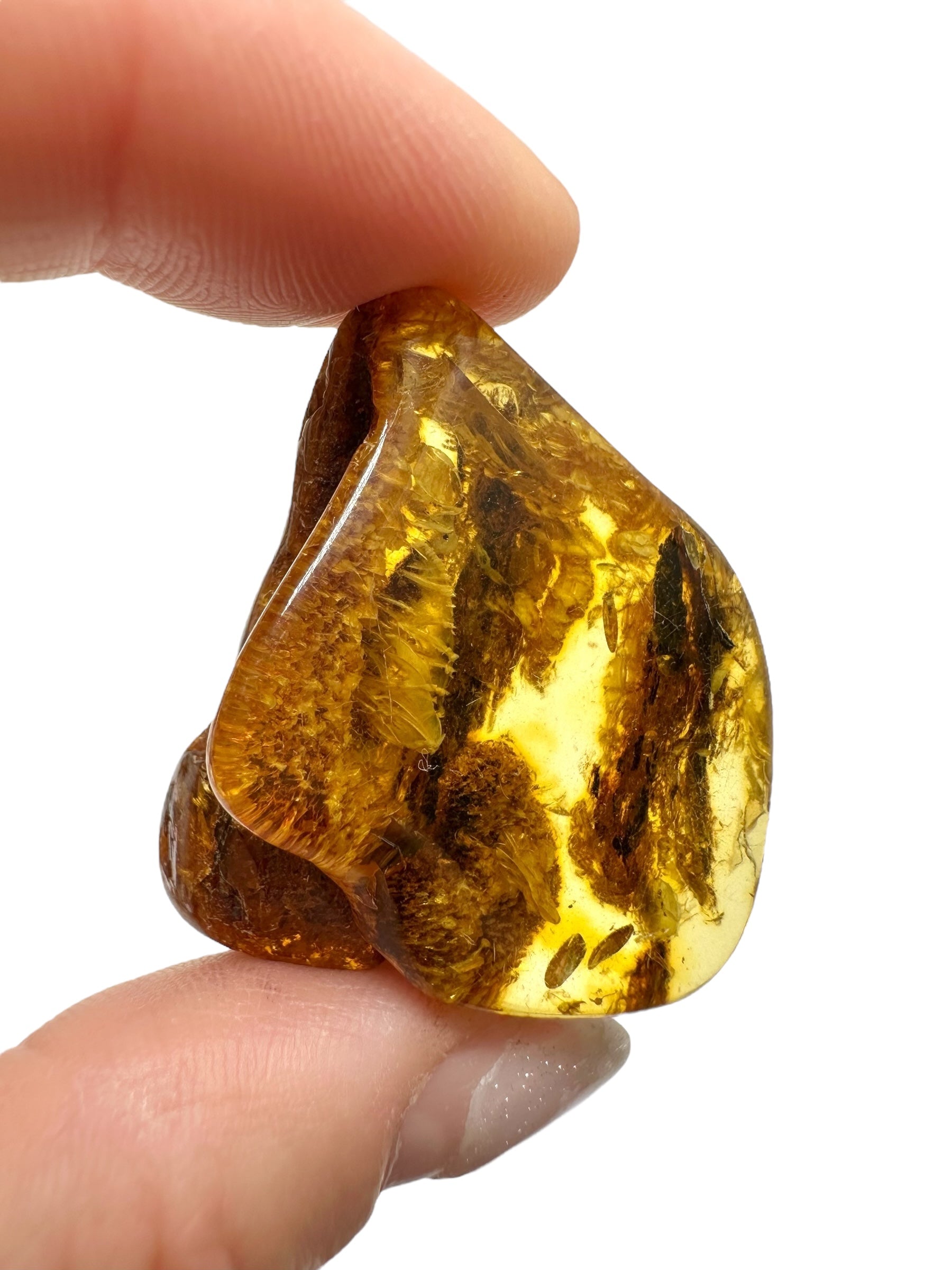 Amber 6,9g – Lithuania - JN587