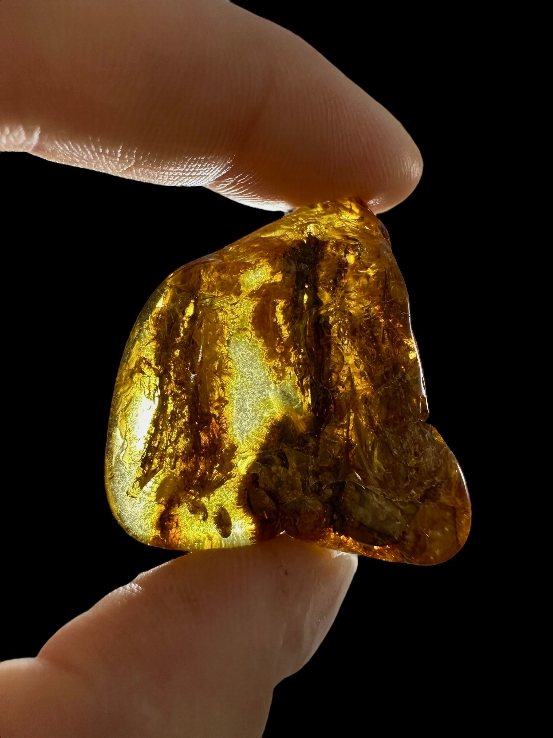 Amber 6,9g – Lithuania - JN587