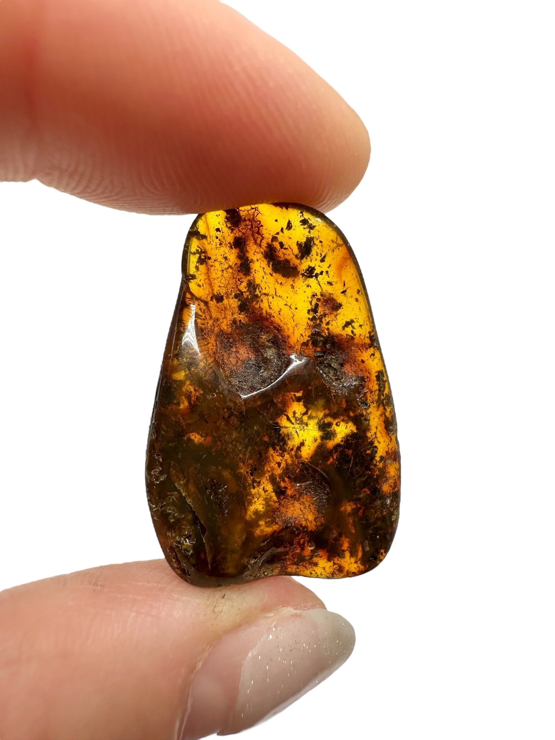 Amber 1,9g – Lithuania - JN588