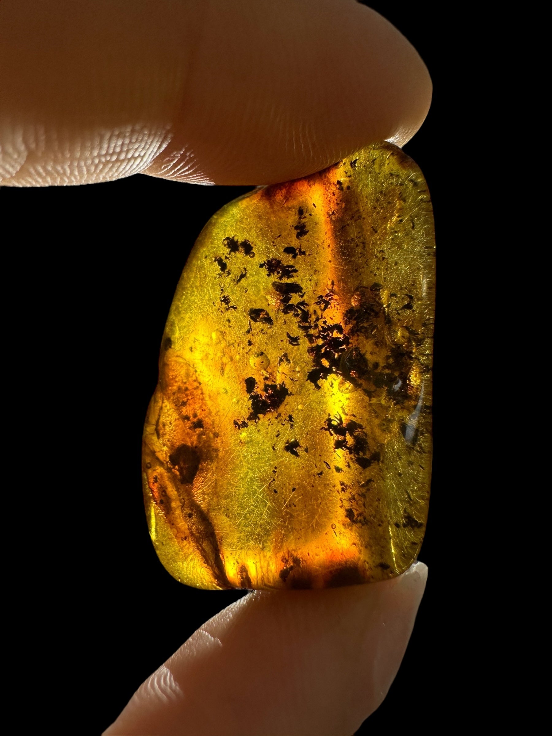 Amber 4,8g – Lithuania - JN589