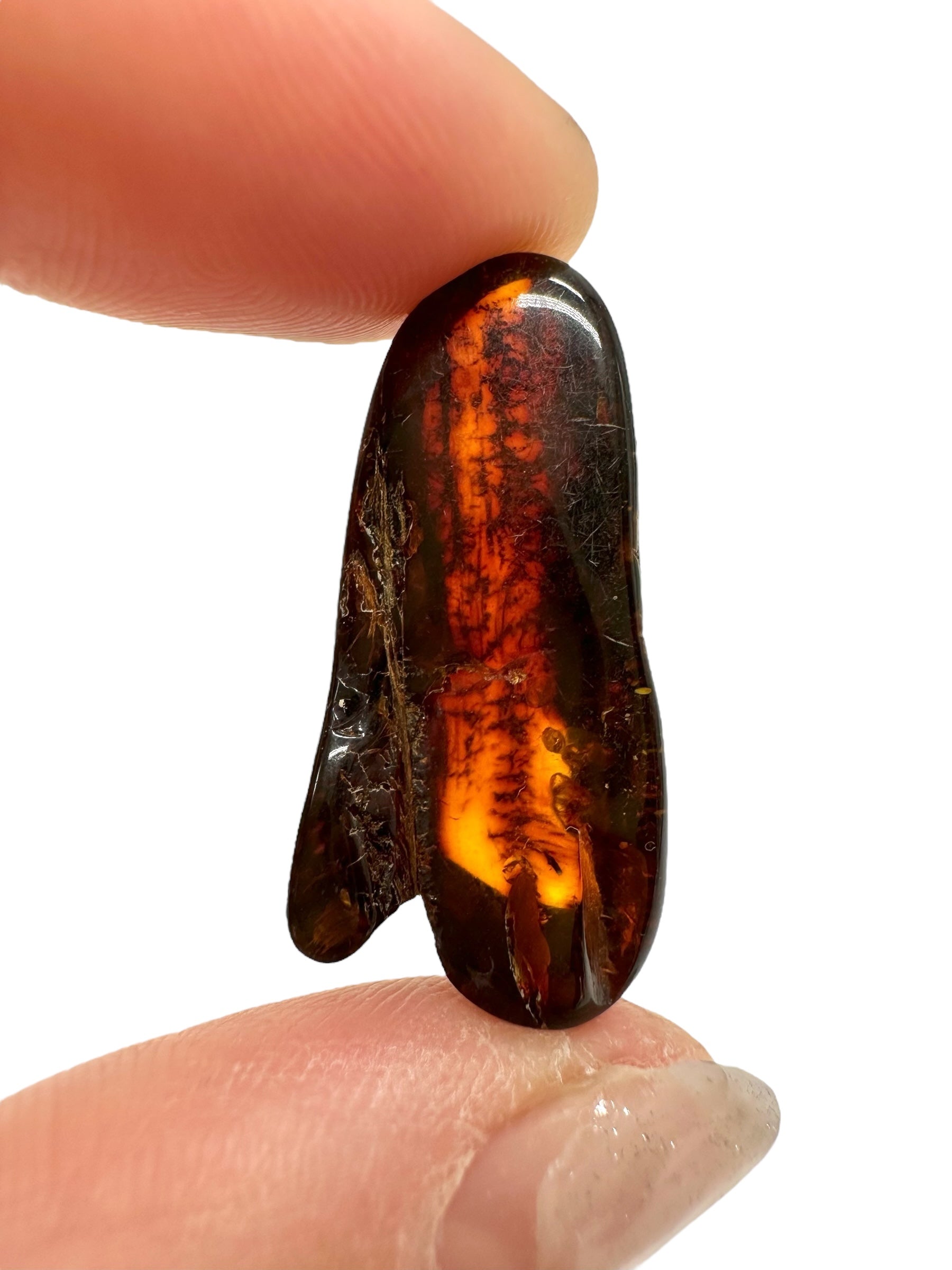 Amber 2,4g – Lithuania - JN593