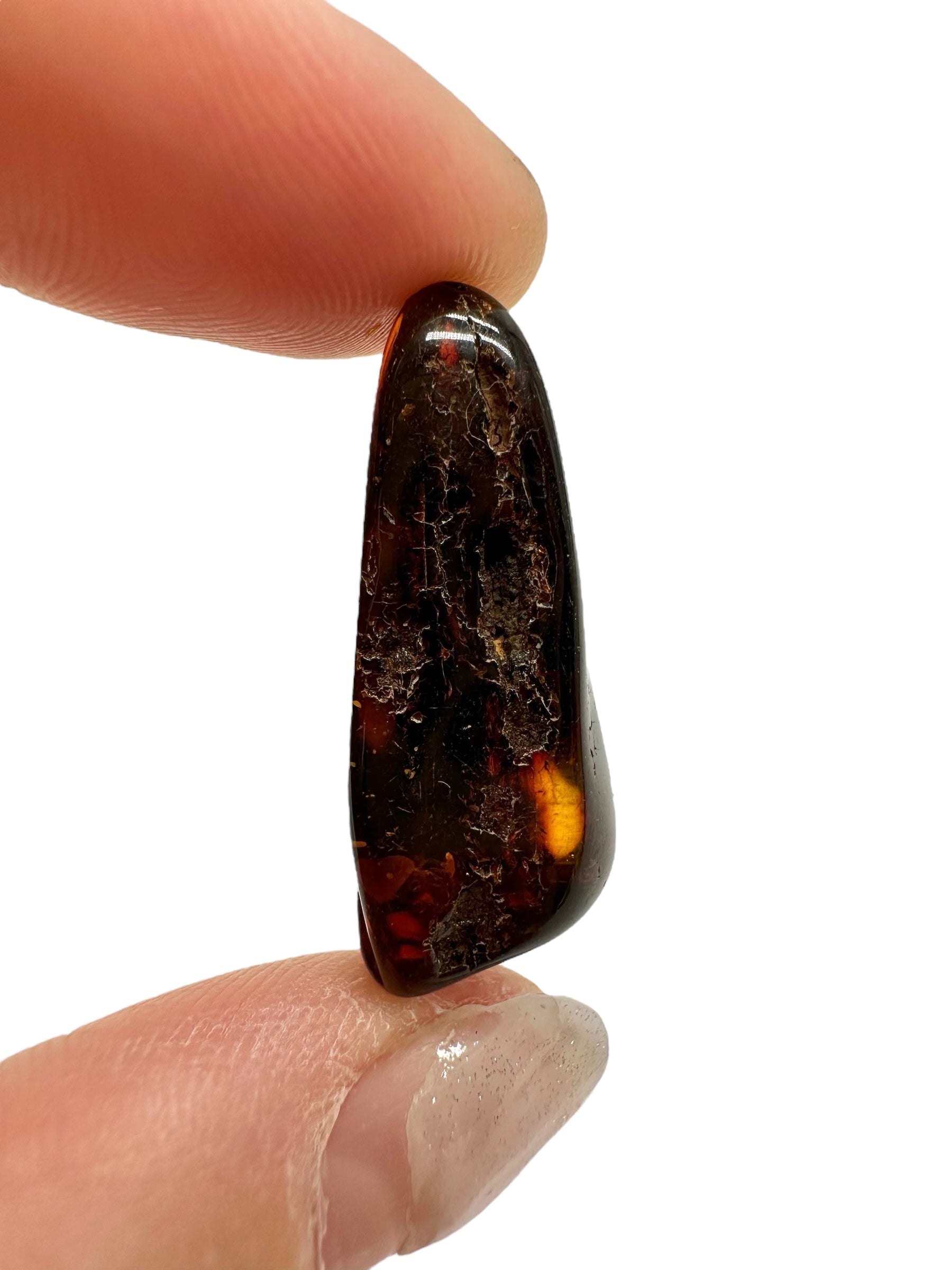 Amber 2,4g – Lithuania - JN593
