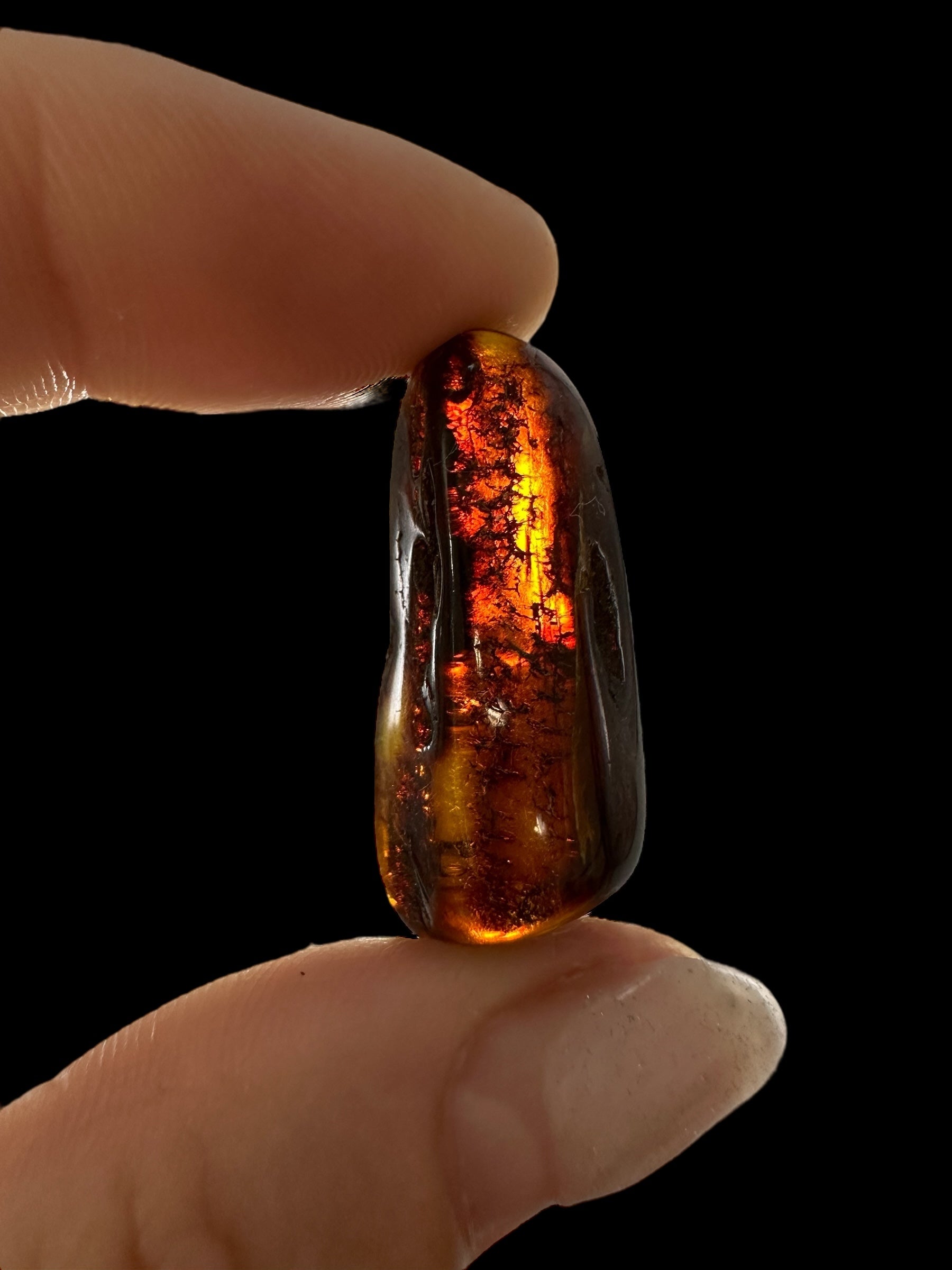 Amber 2,4g – Lithuania - JN593