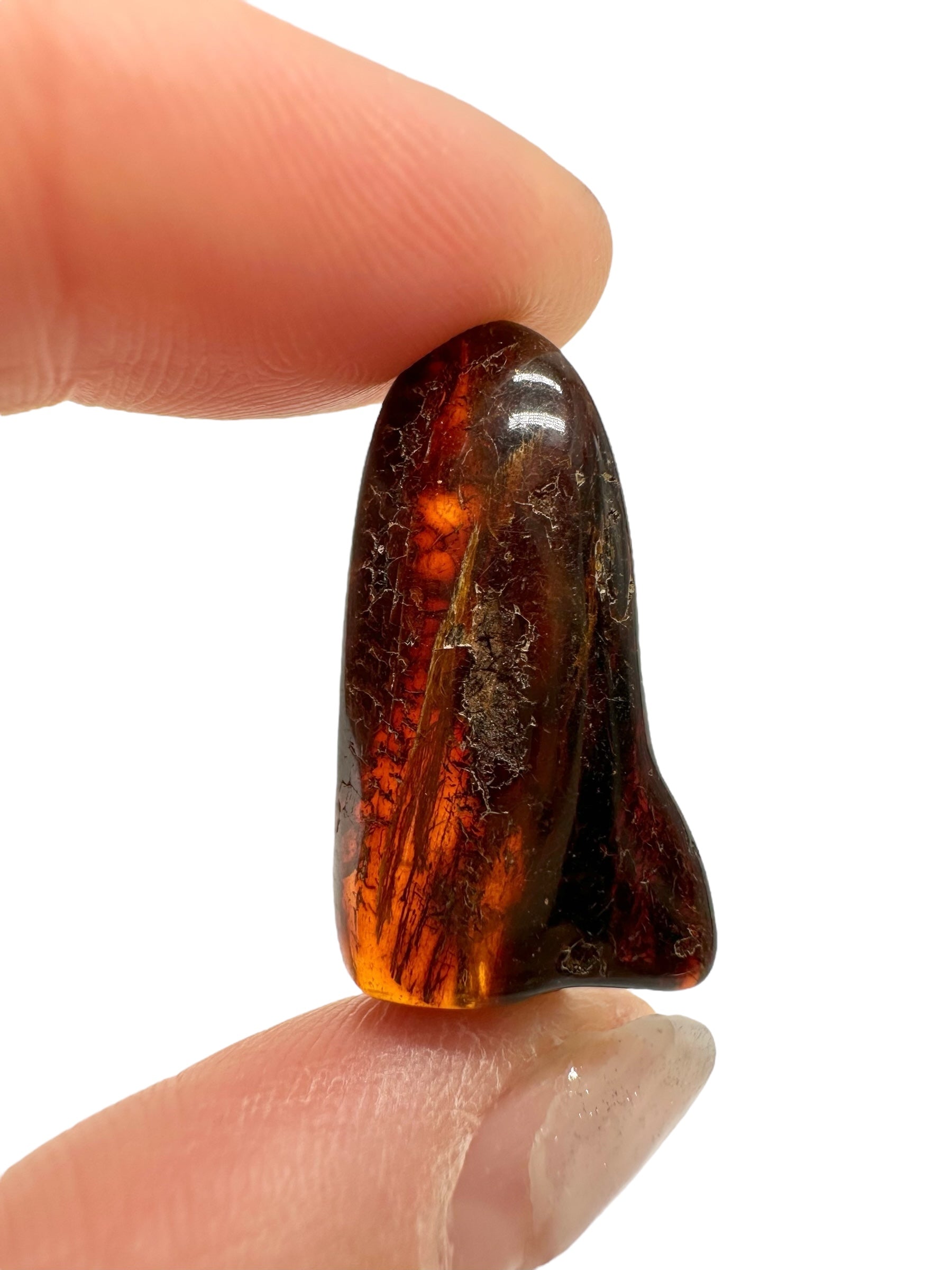 Amber 2,4g – Lithuania