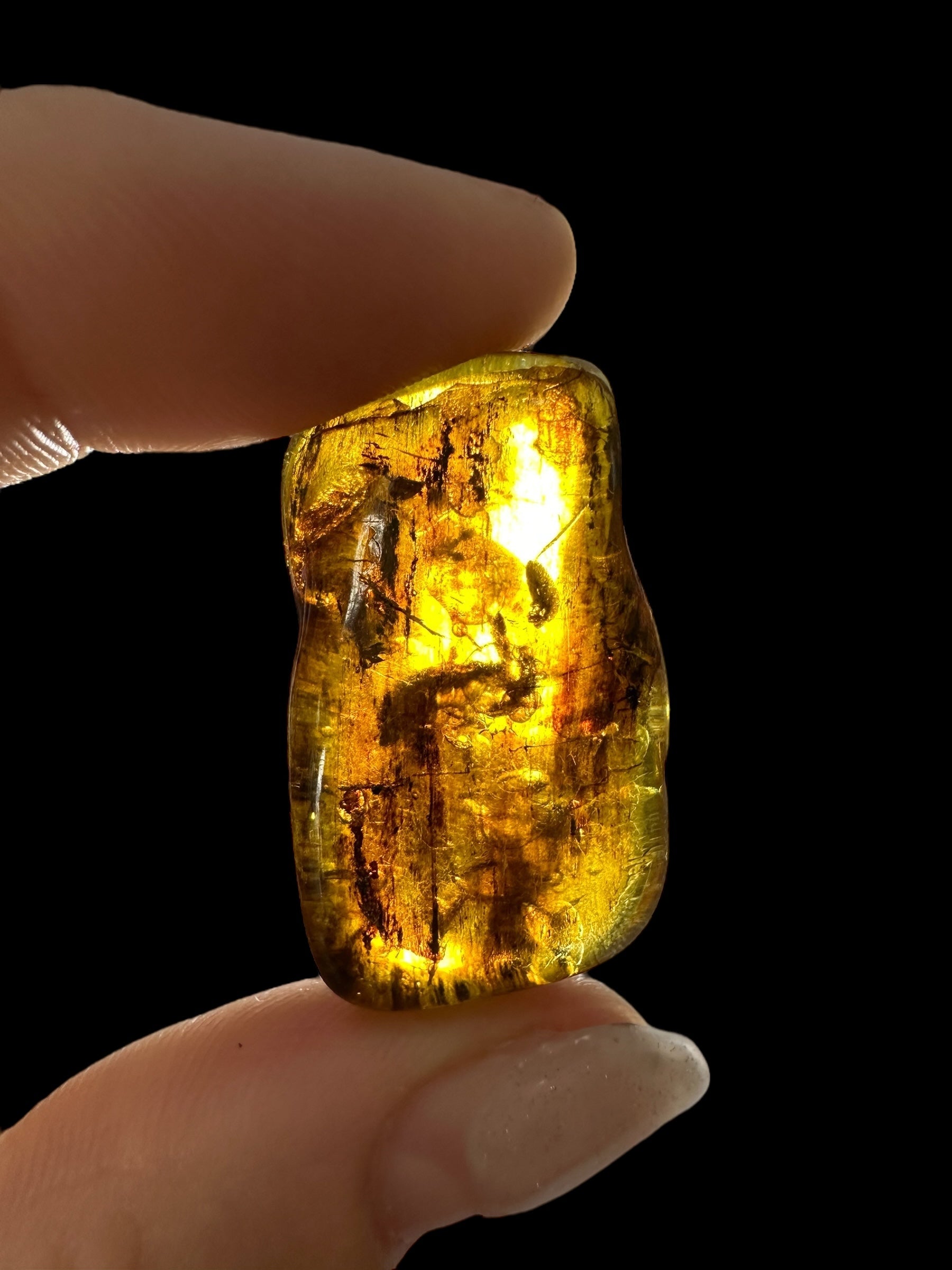 Amber 4,1g – Lithuania - JN594