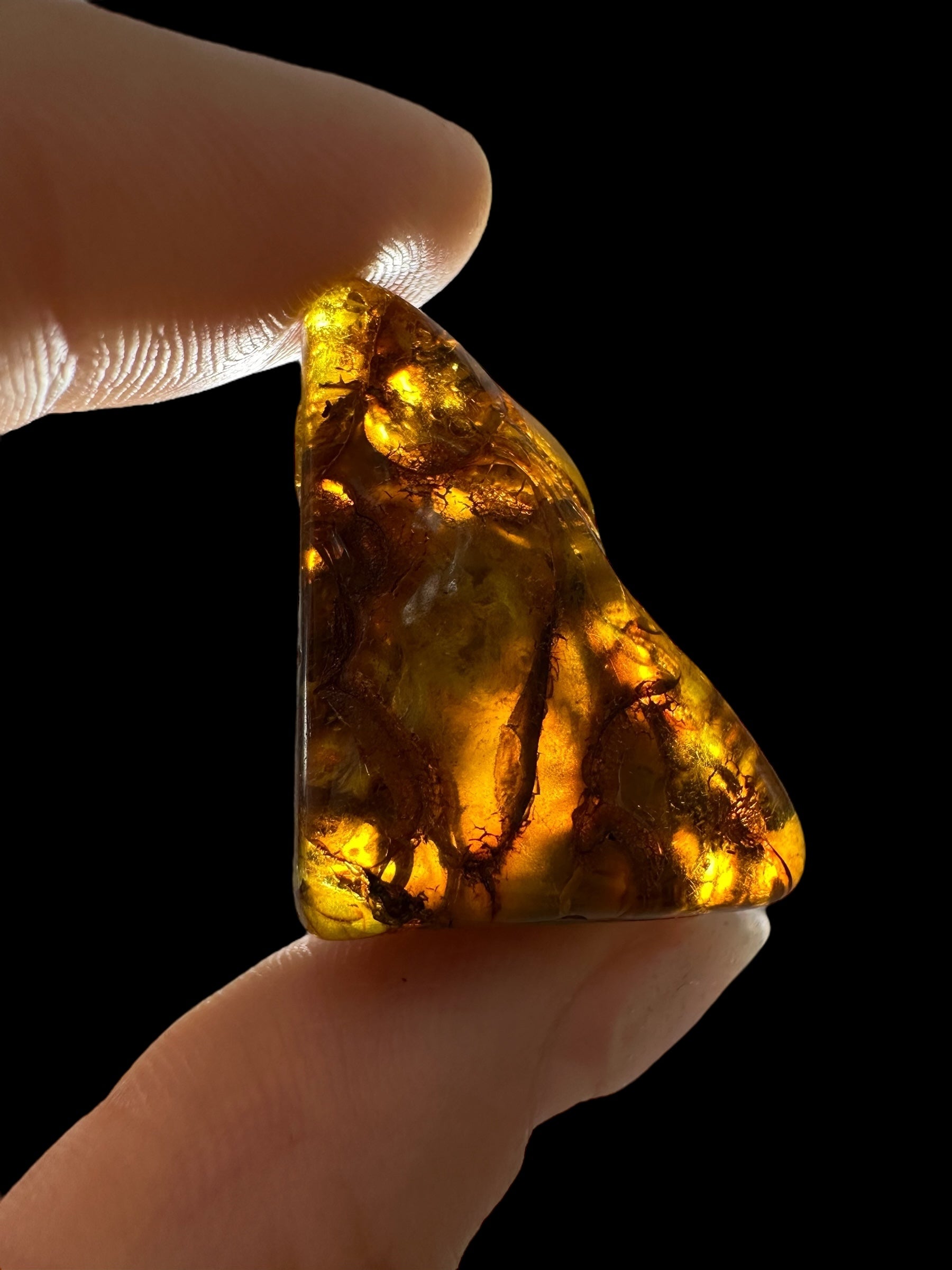 Amber 4,6g – Lithuania - JN596