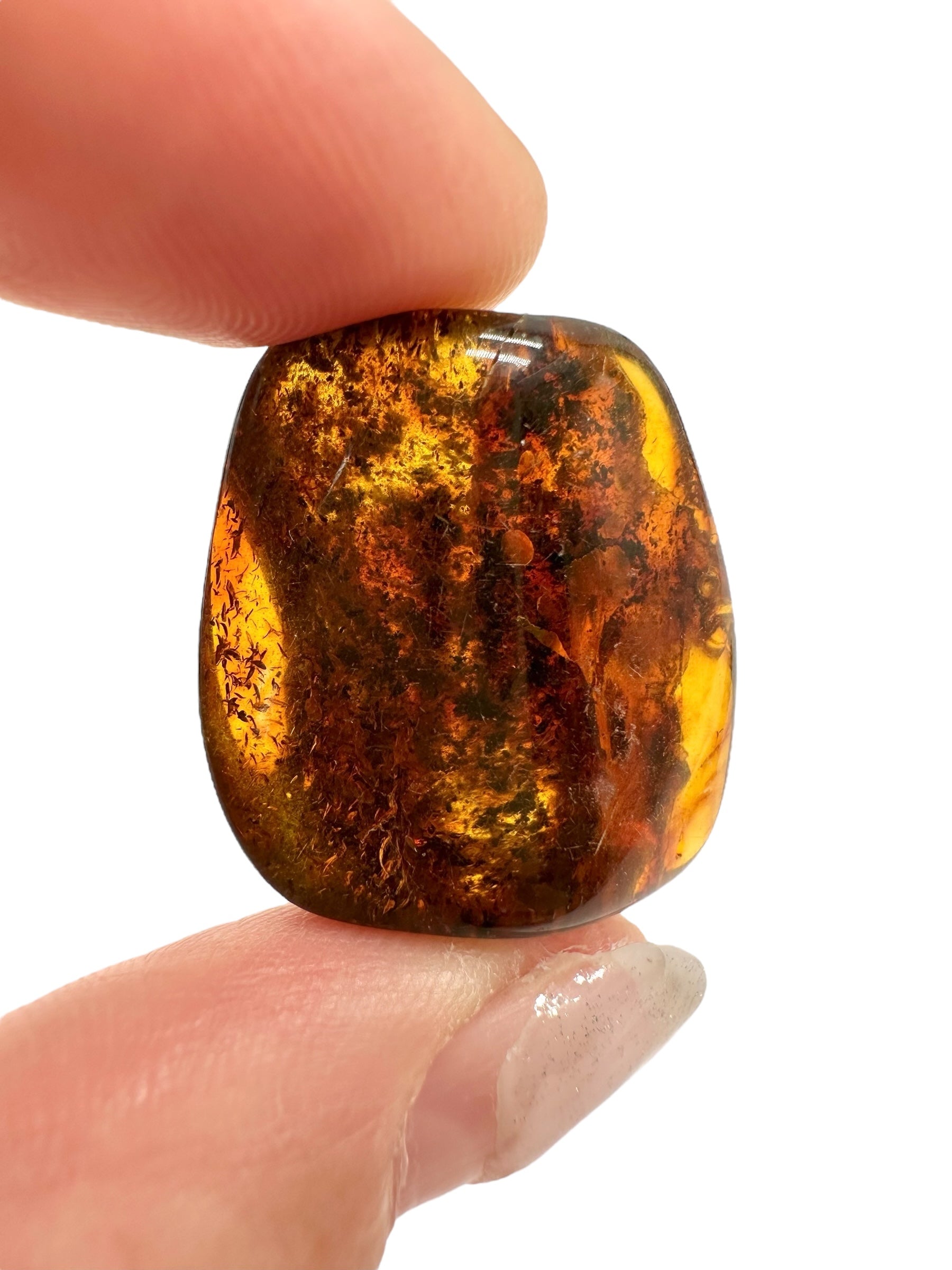 Amber 3,1g – Lithuania - JN598